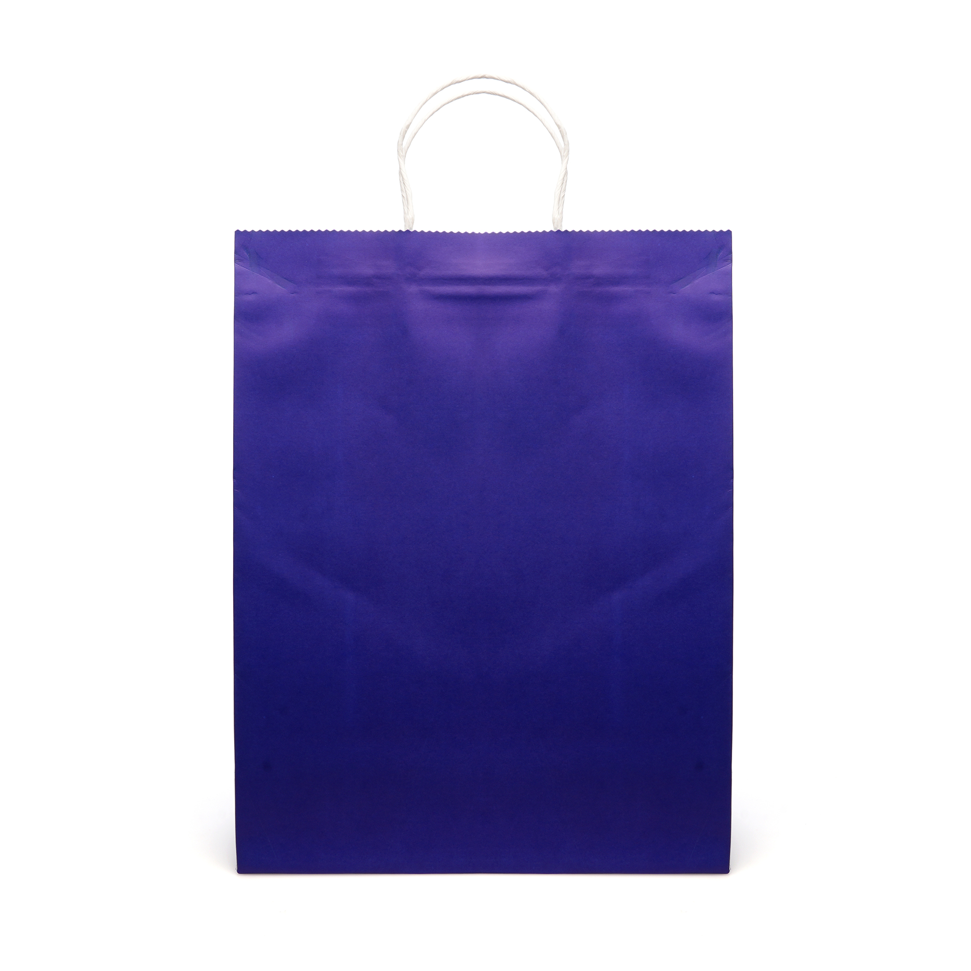 Picture of Brunswick Large Coloured Paper Bag