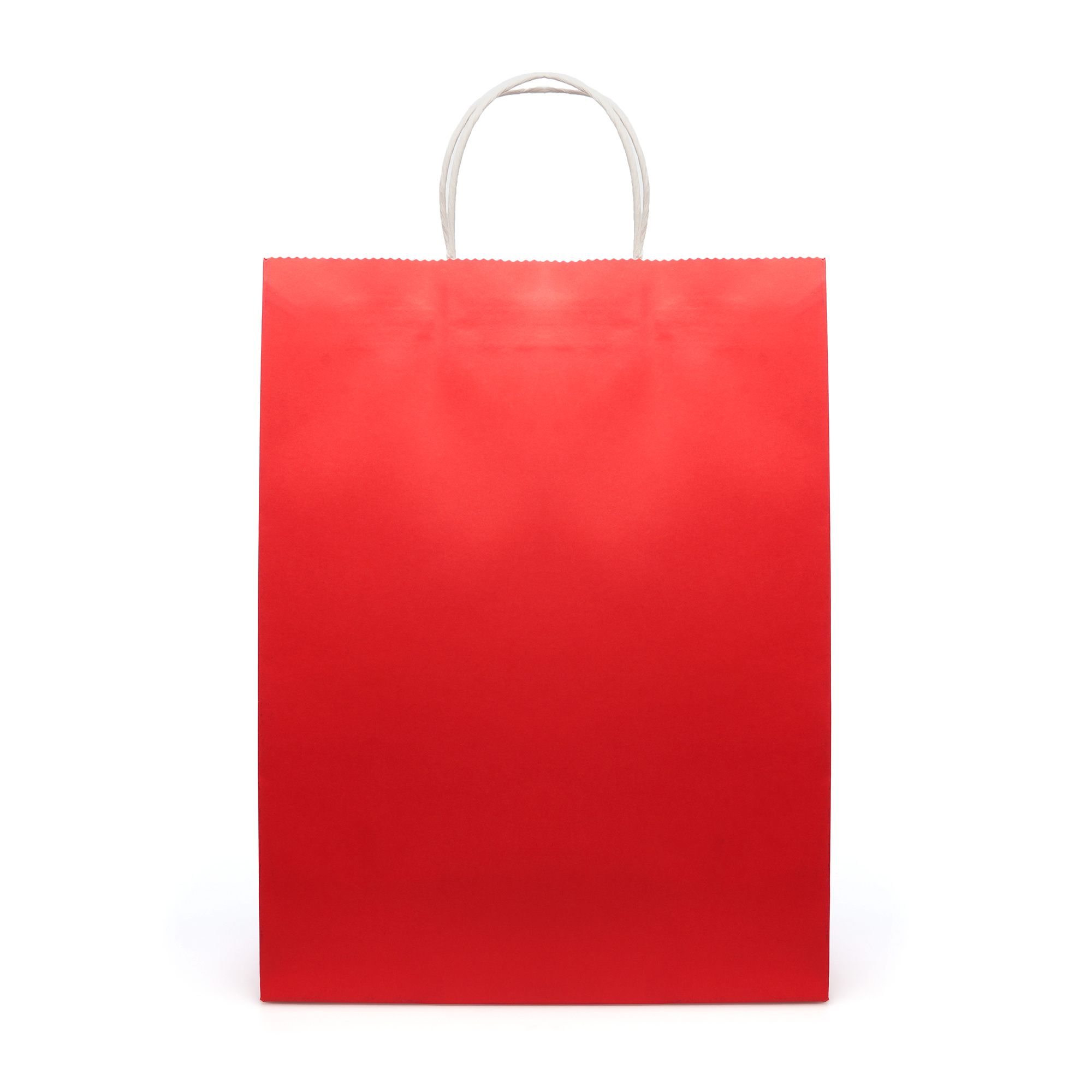 Picture of Brunswick Large Coloured Paper Bag