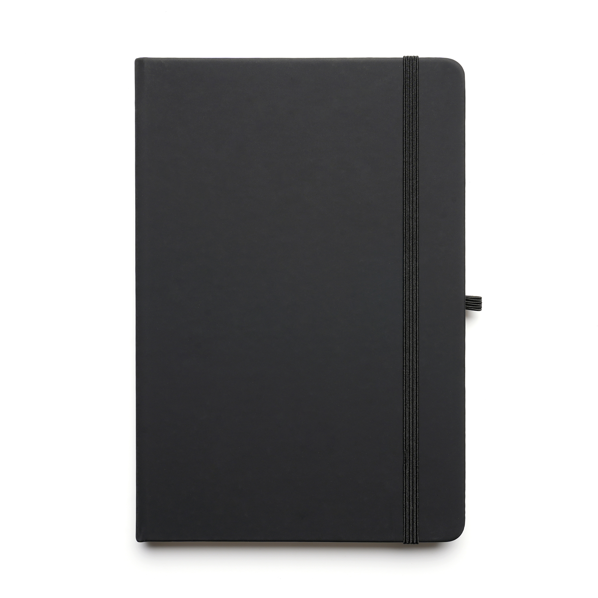 Picture of A5 Mole Graph Page Notebook