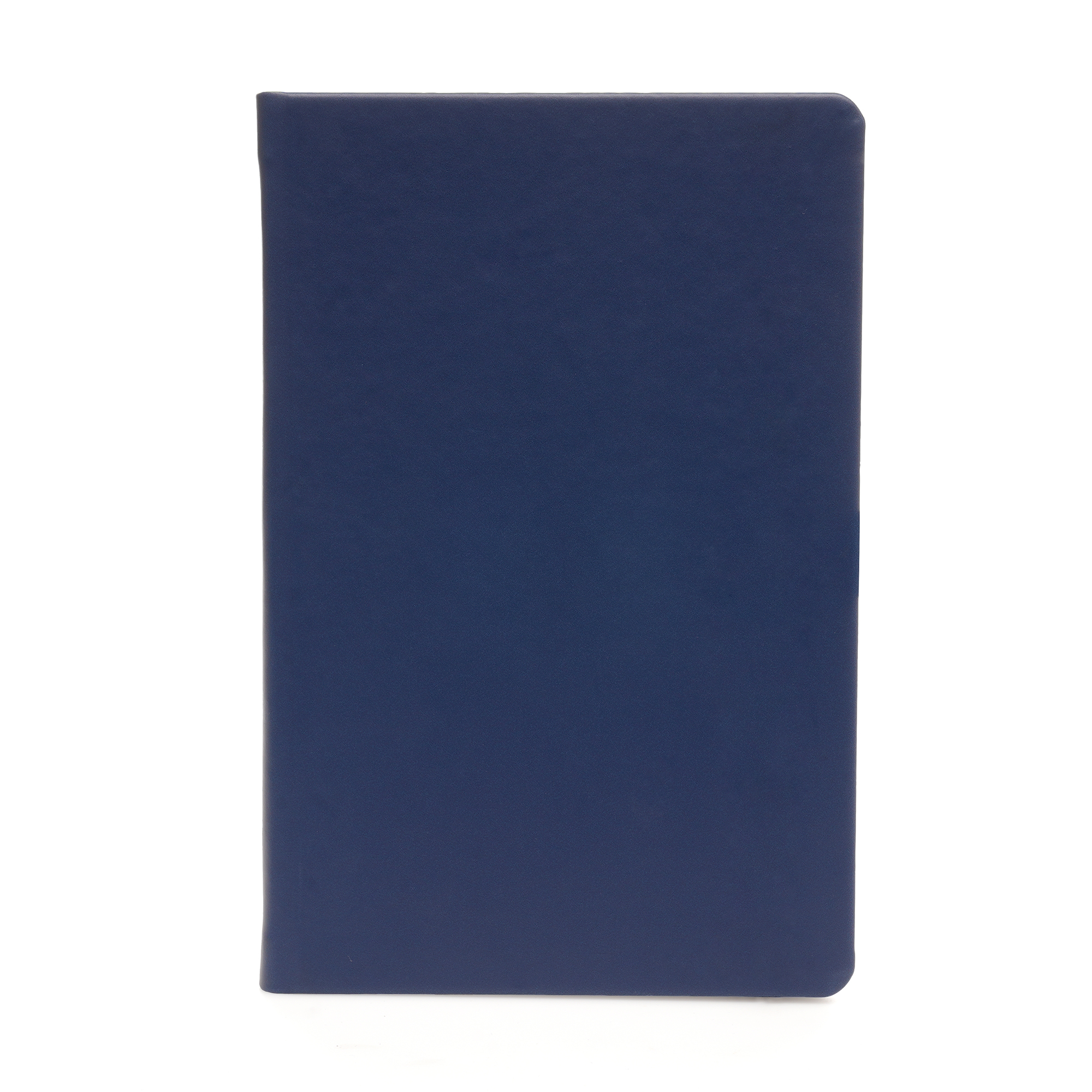 Picture of A5 Apple Skin Notebook