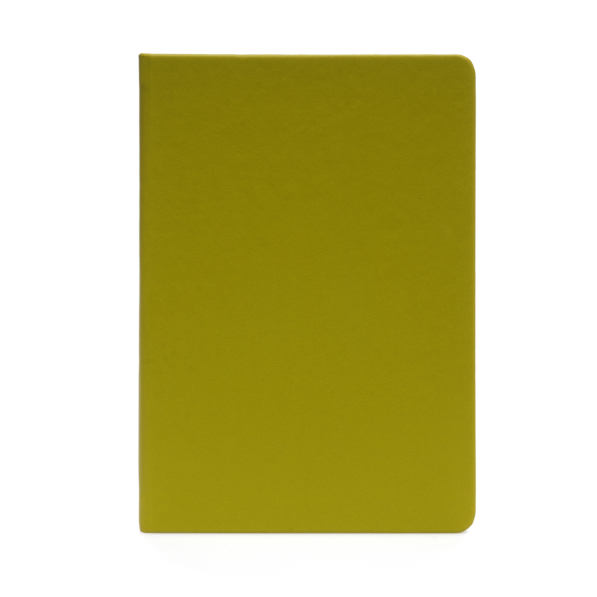 Picture of A5 Apple Skin Notebook