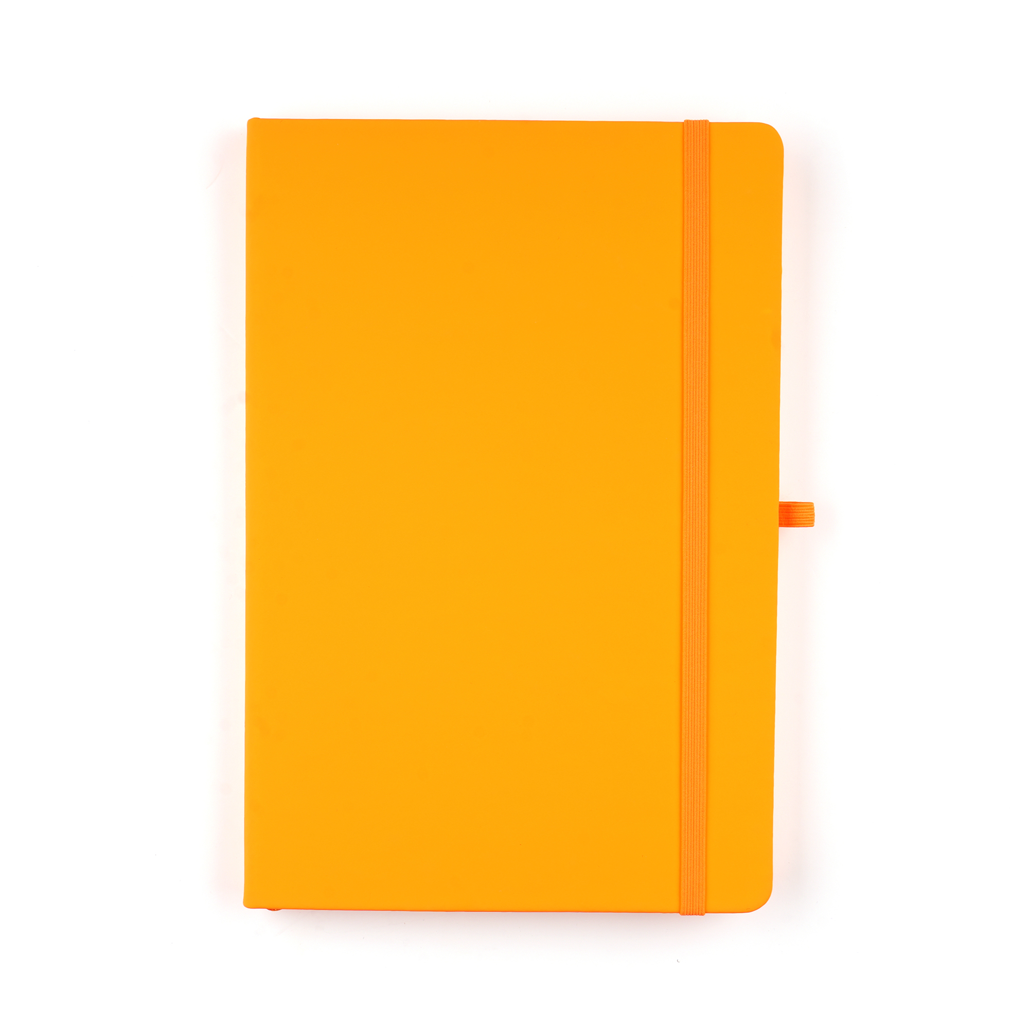 Picture of A5 Neon Mole Notebook