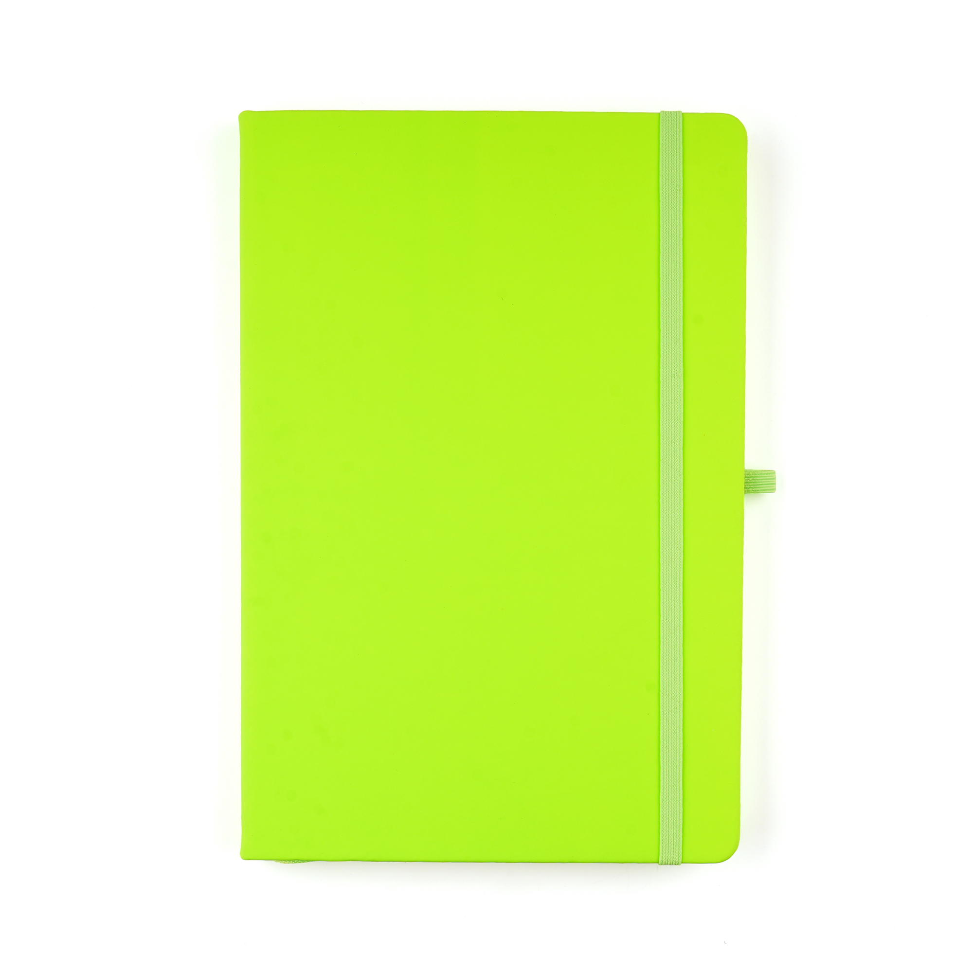 Picture of A5 Neon Mole Notebook
