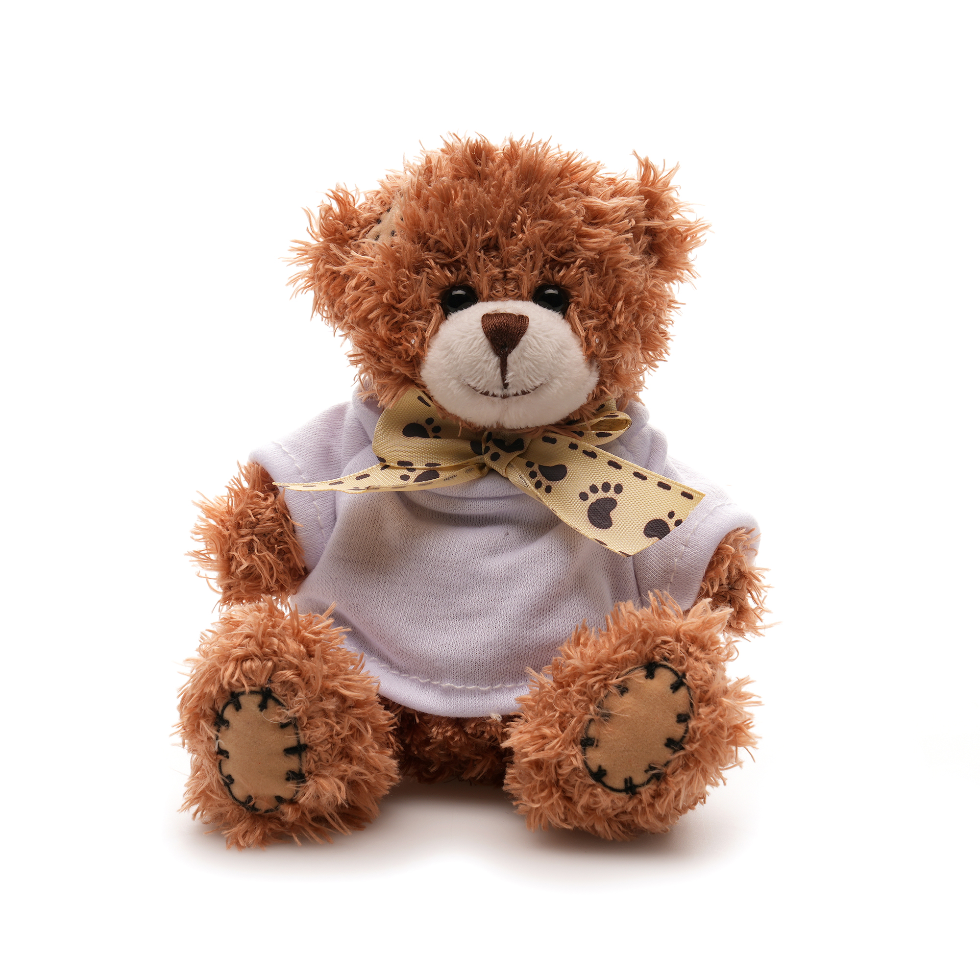 Picture of Small Patched Paw Teddy
