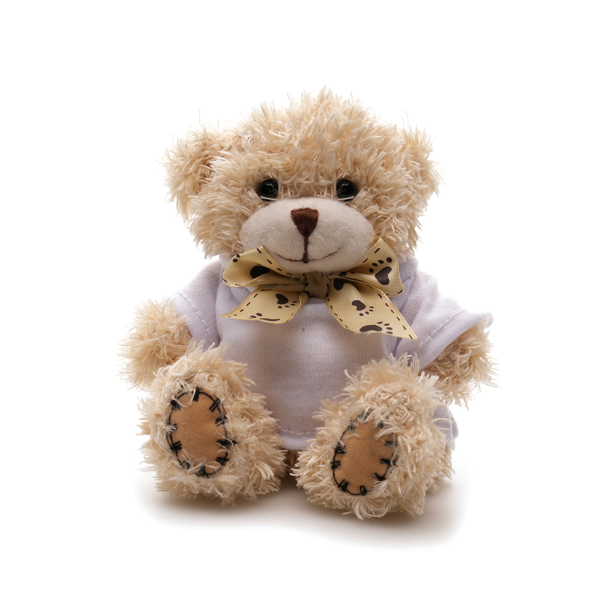Picture of Small Patched Paw Teddy