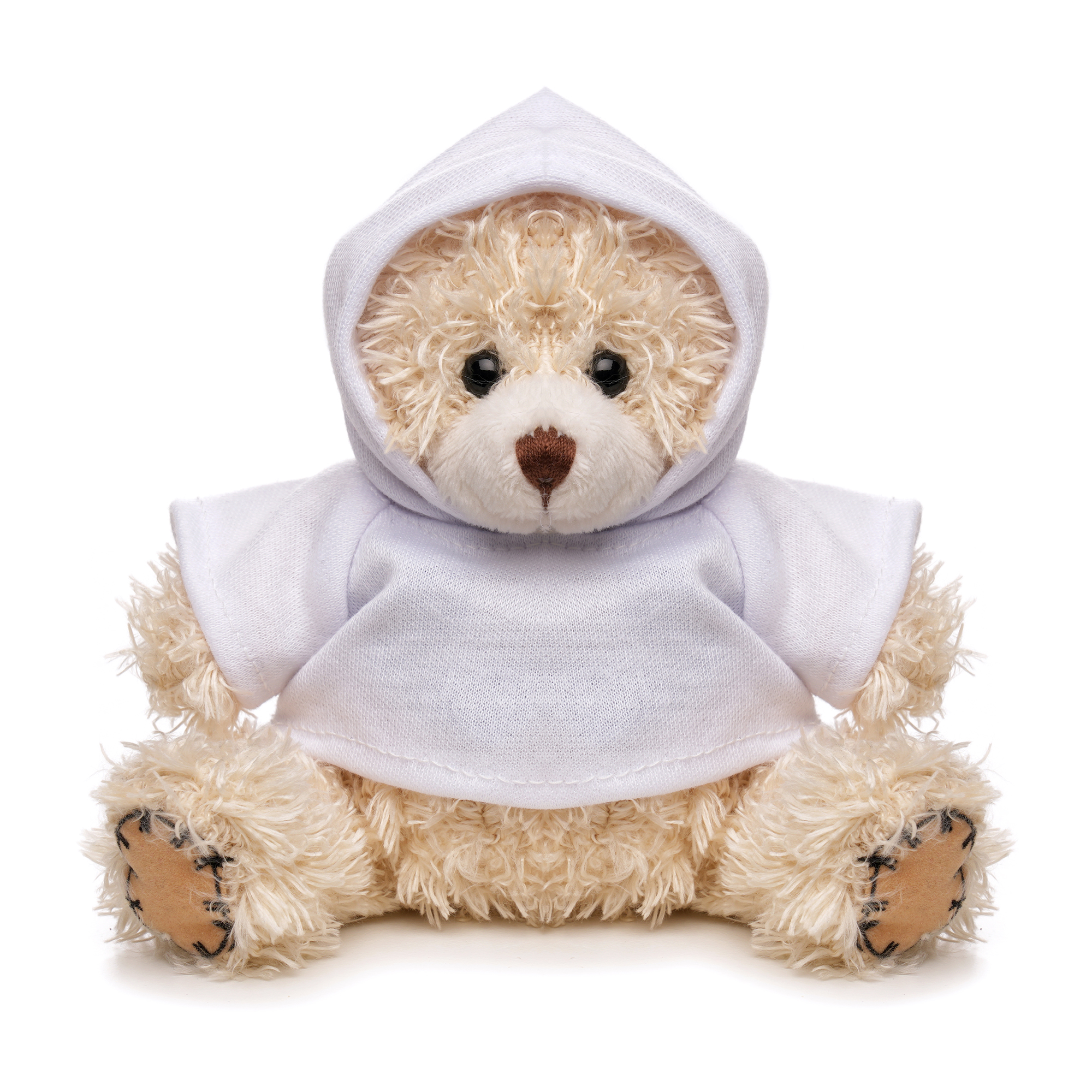 Picture of Small Patched Paw Teddy