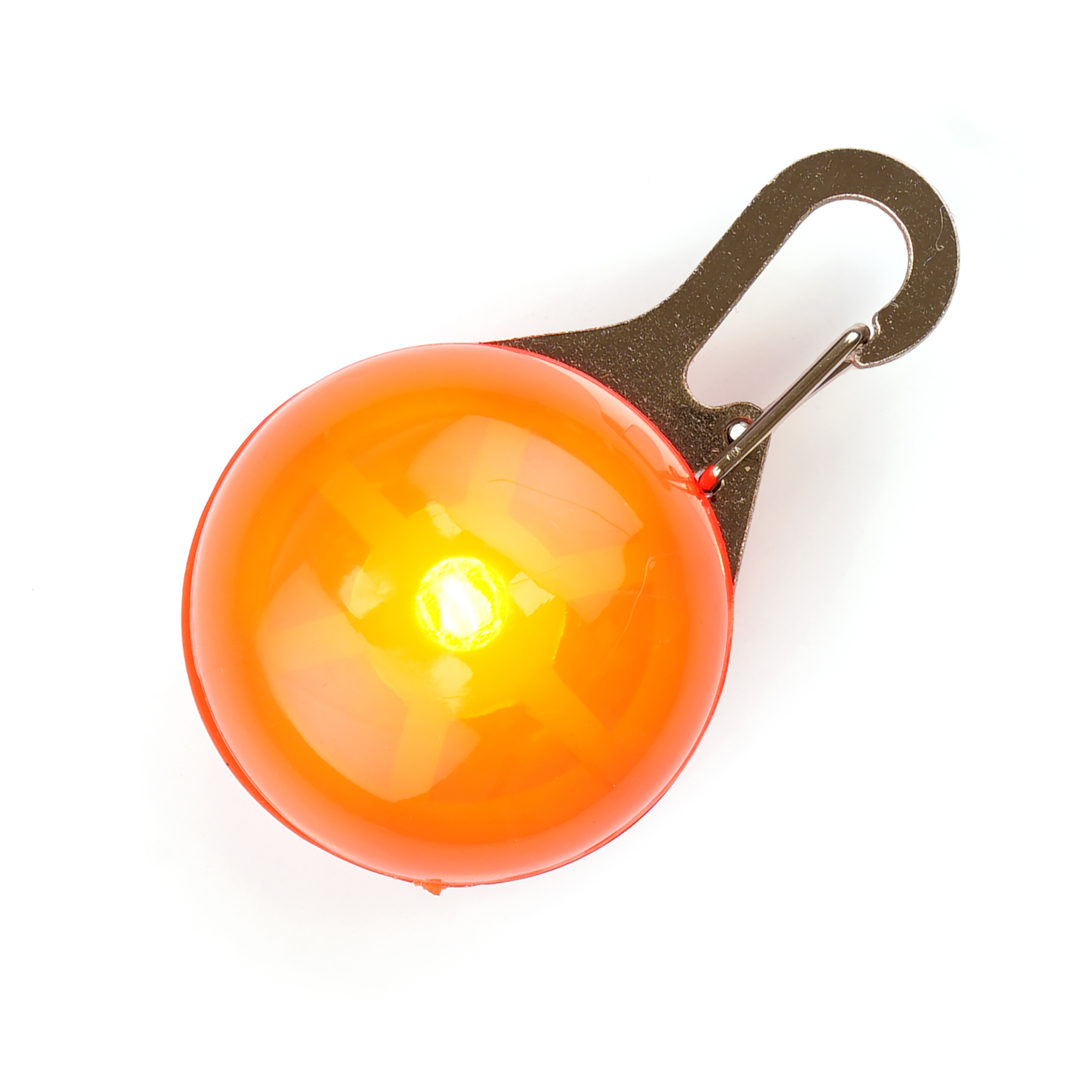 Picture of Dog Collar Light