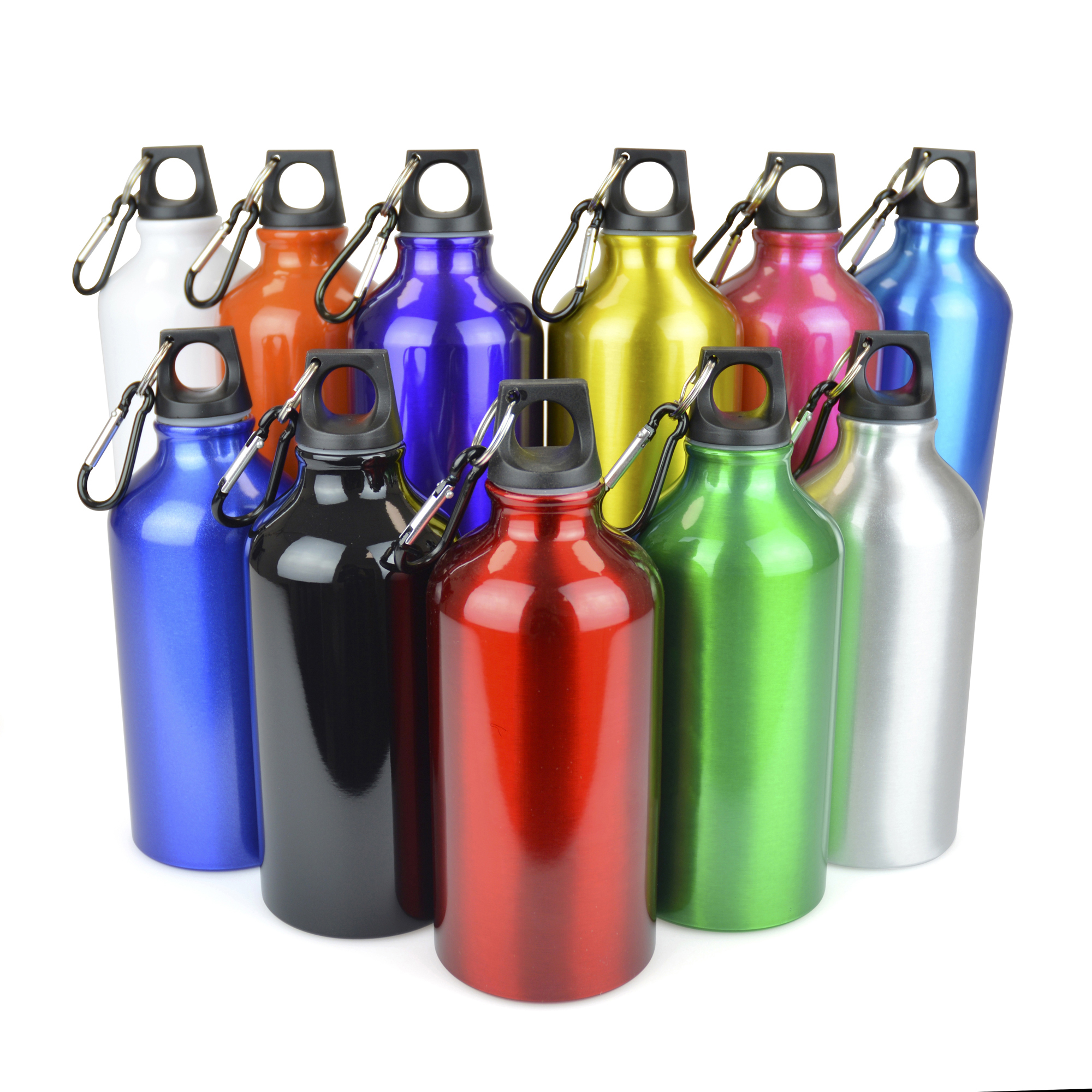 Picture of Pollock Glossy 550ml Sports Bottle