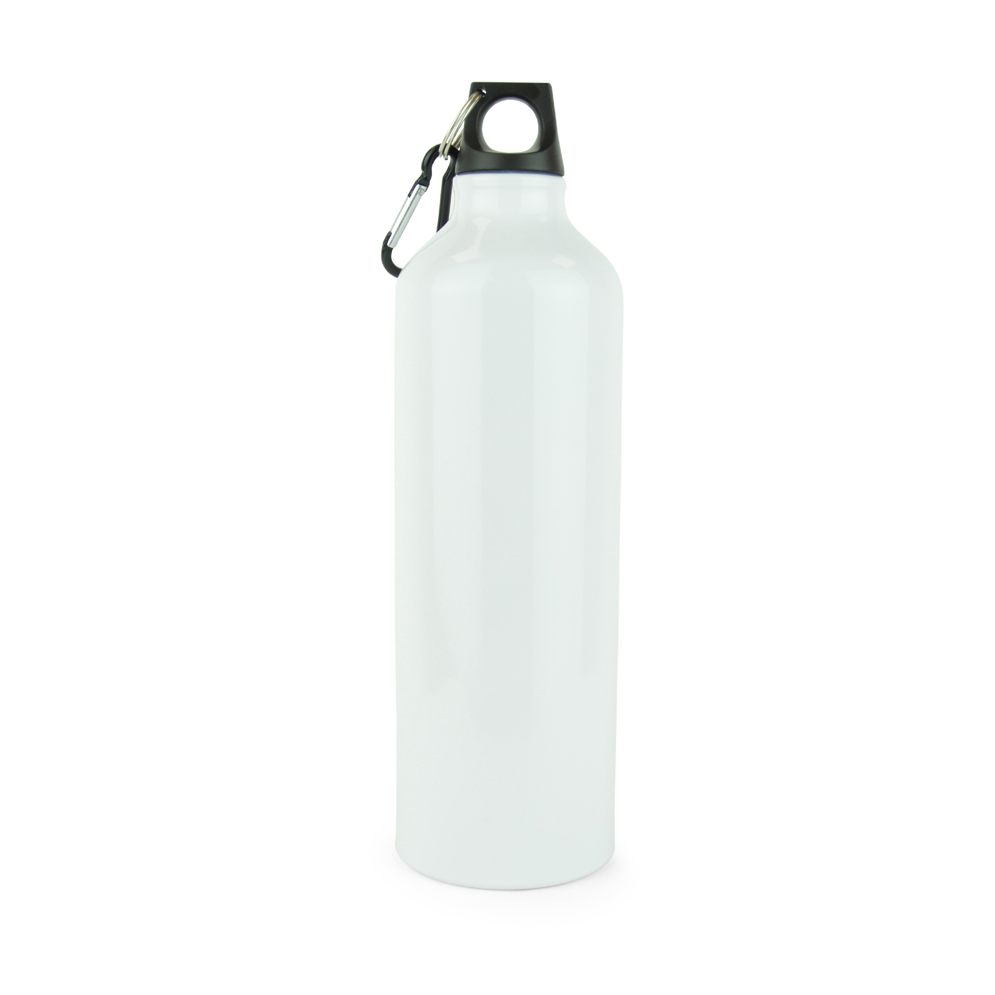 Picture of Pollock Glossy 750ml Sports Bottle