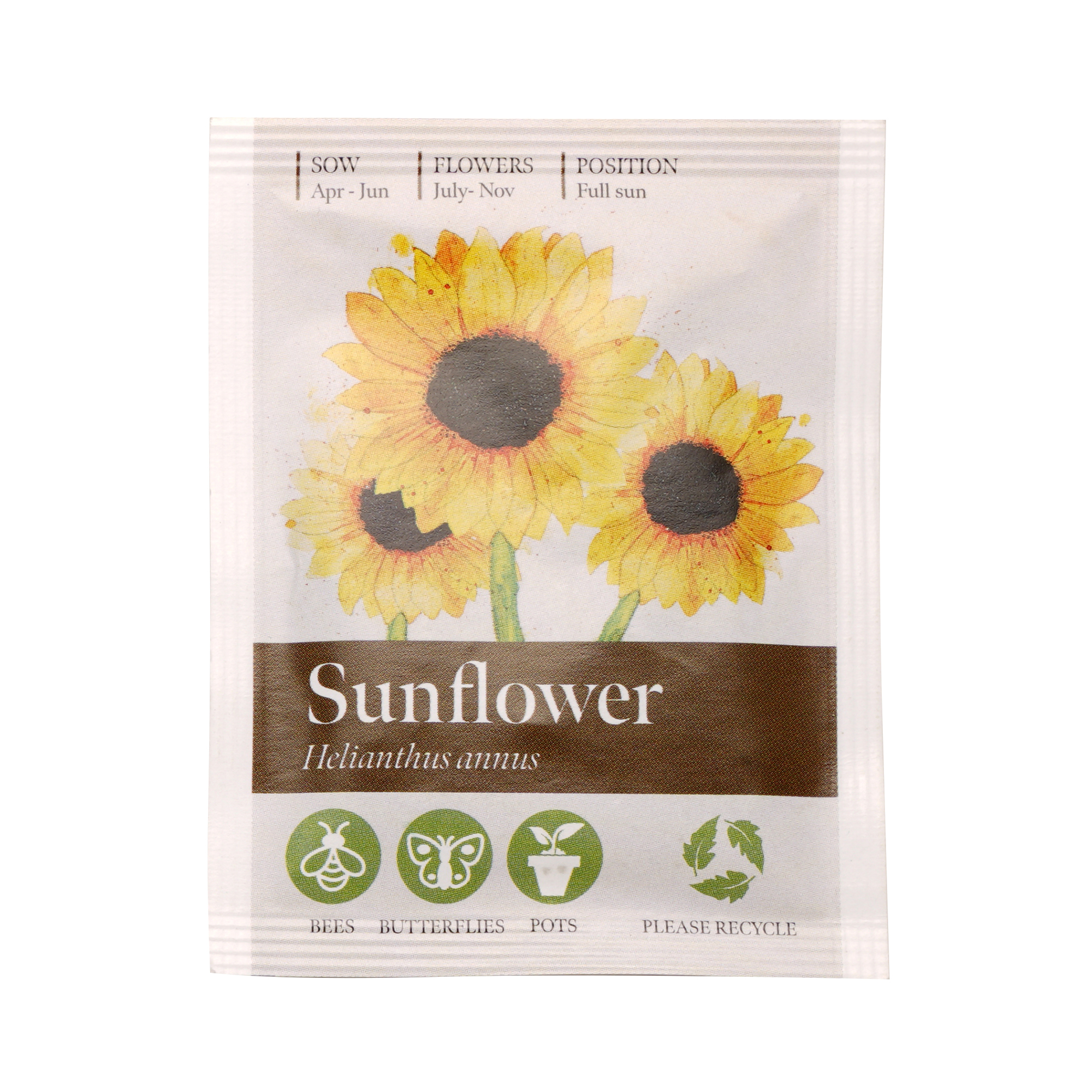 Picture of Standard Seed Packet