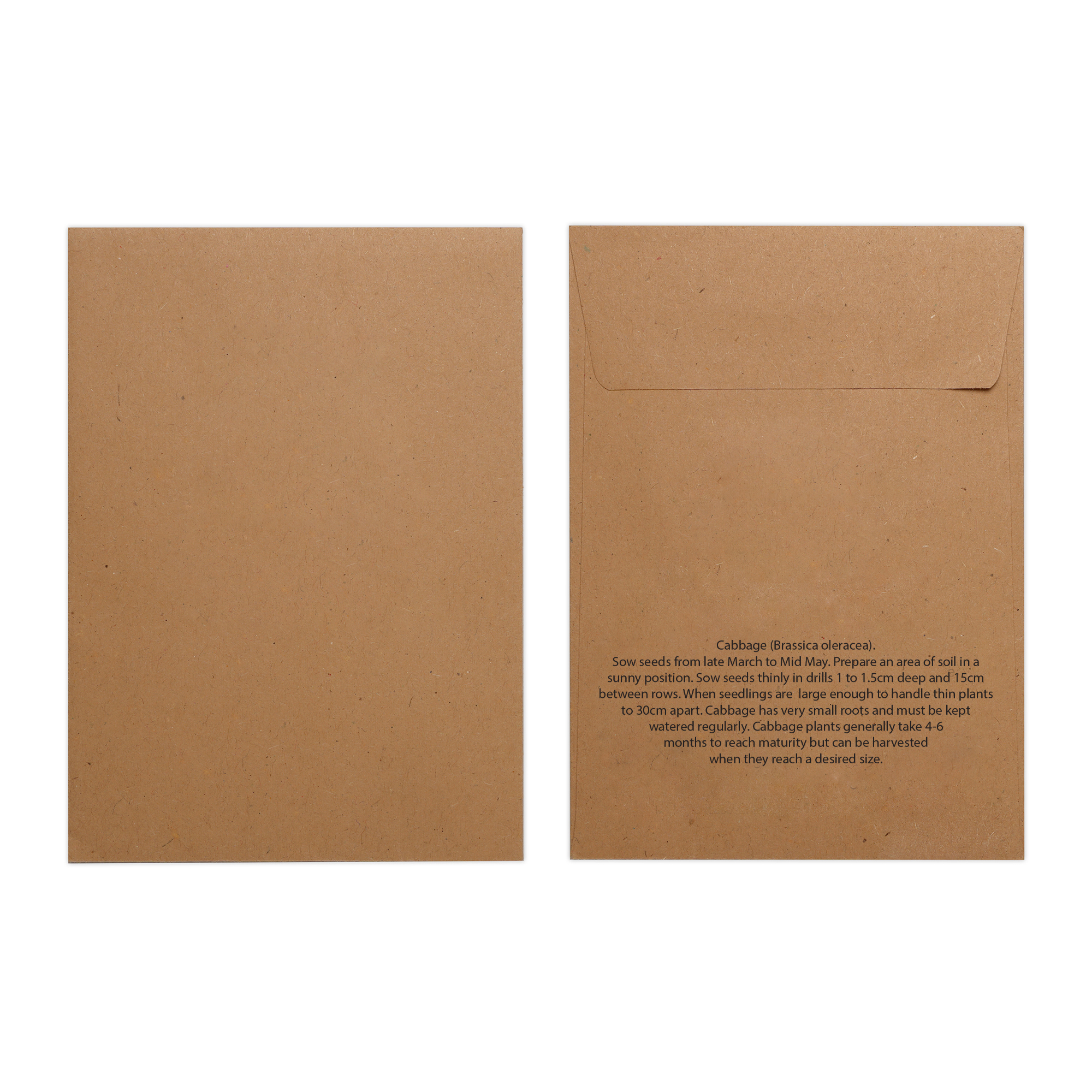 Picture of Natural Kraft Paper Seed Envelope