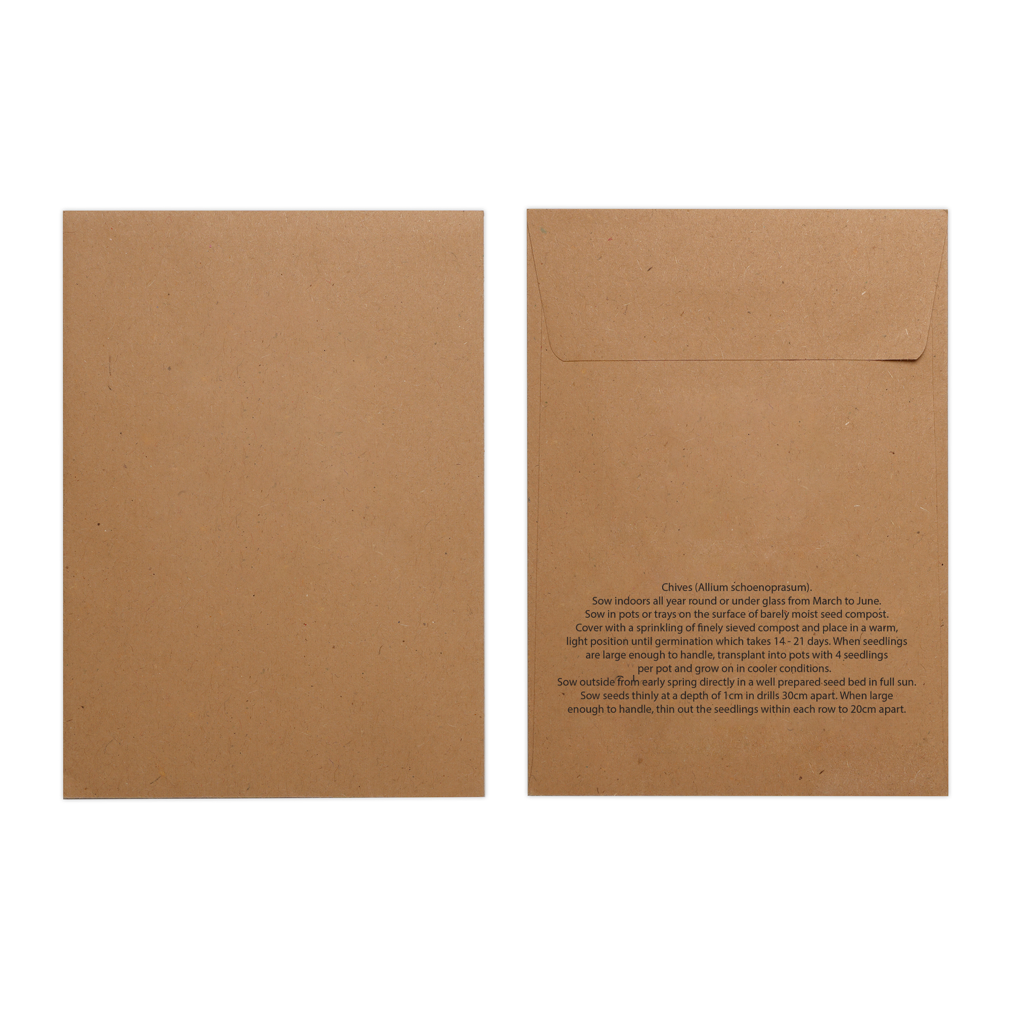 Picture of Natural Kraft Paper Seed Envelope