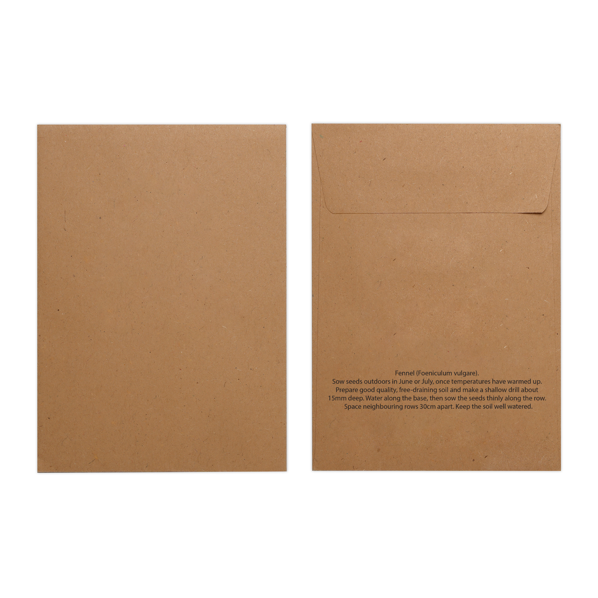 Picture of Natural Kraft Paper Seed Envelope