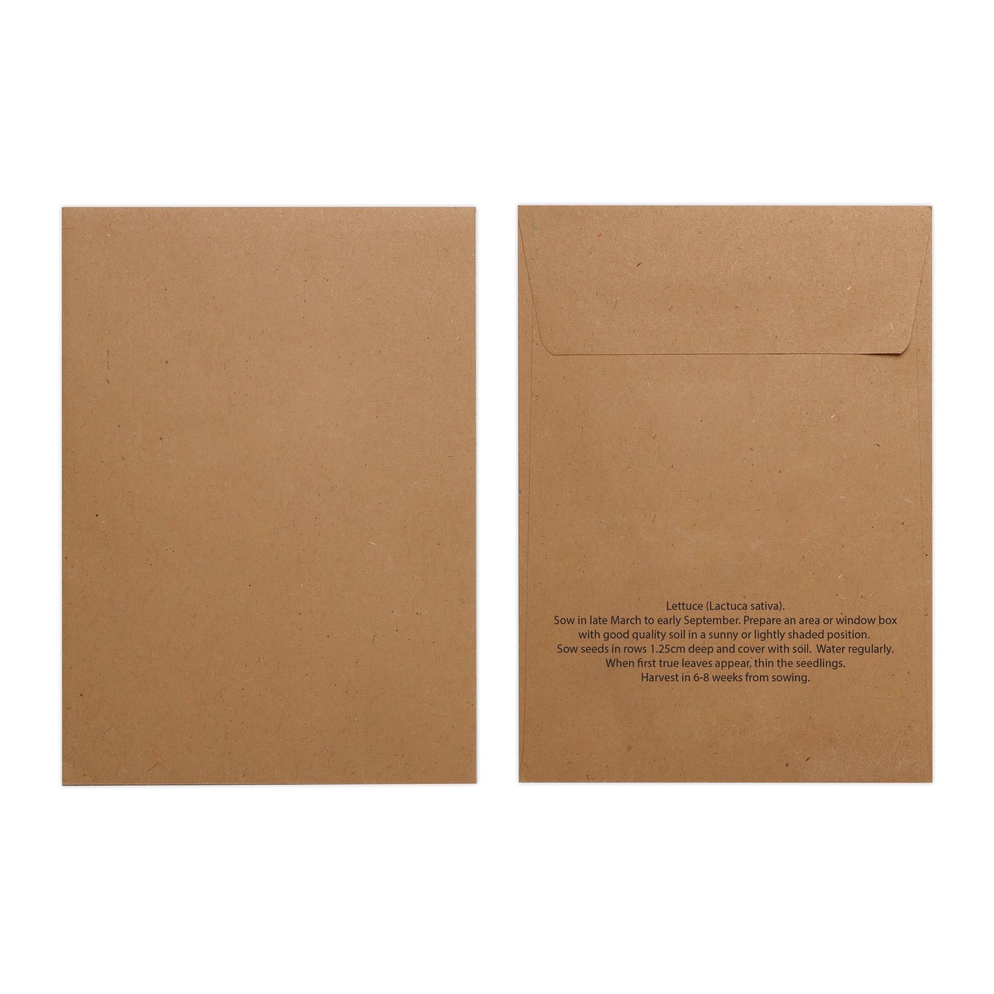 Picture of Natural Kraft Paper Seed Envelope