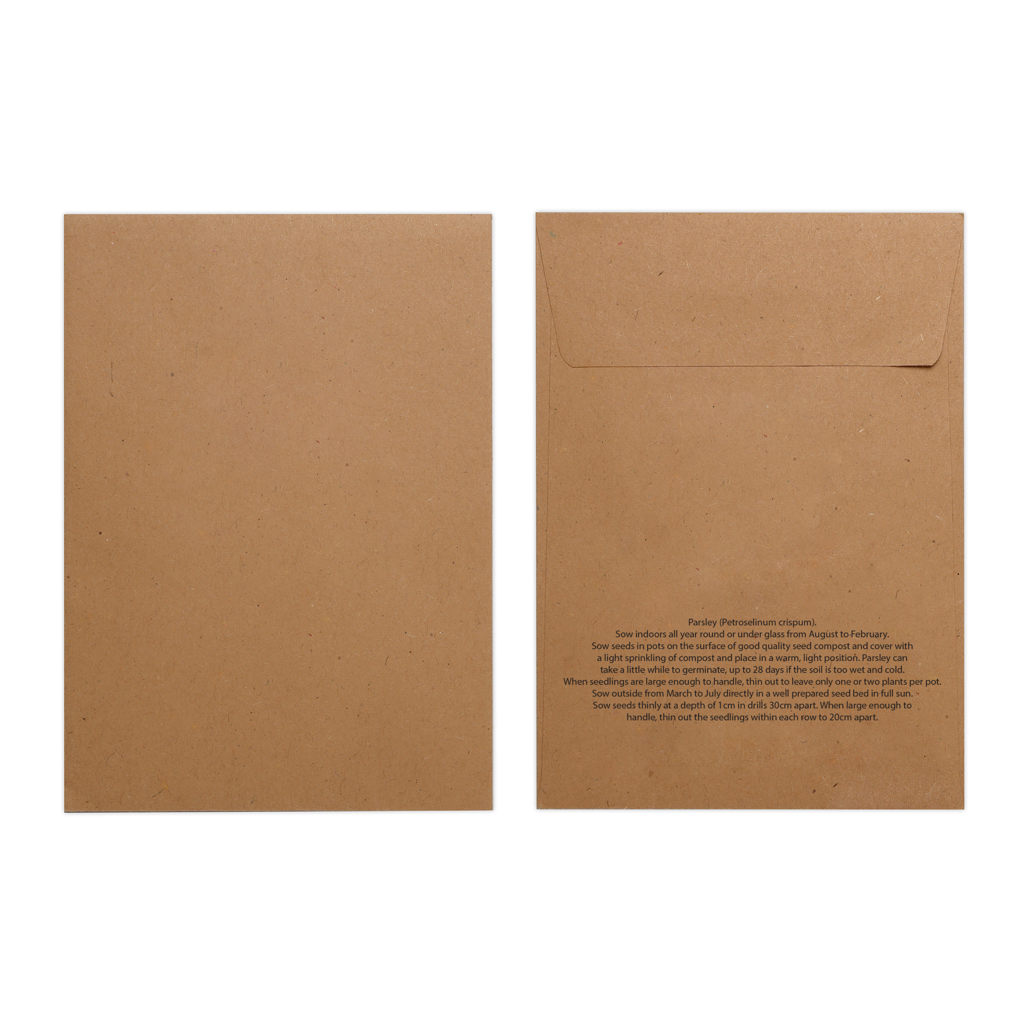 Picture of Natural Kraft Paper Seed Envelope