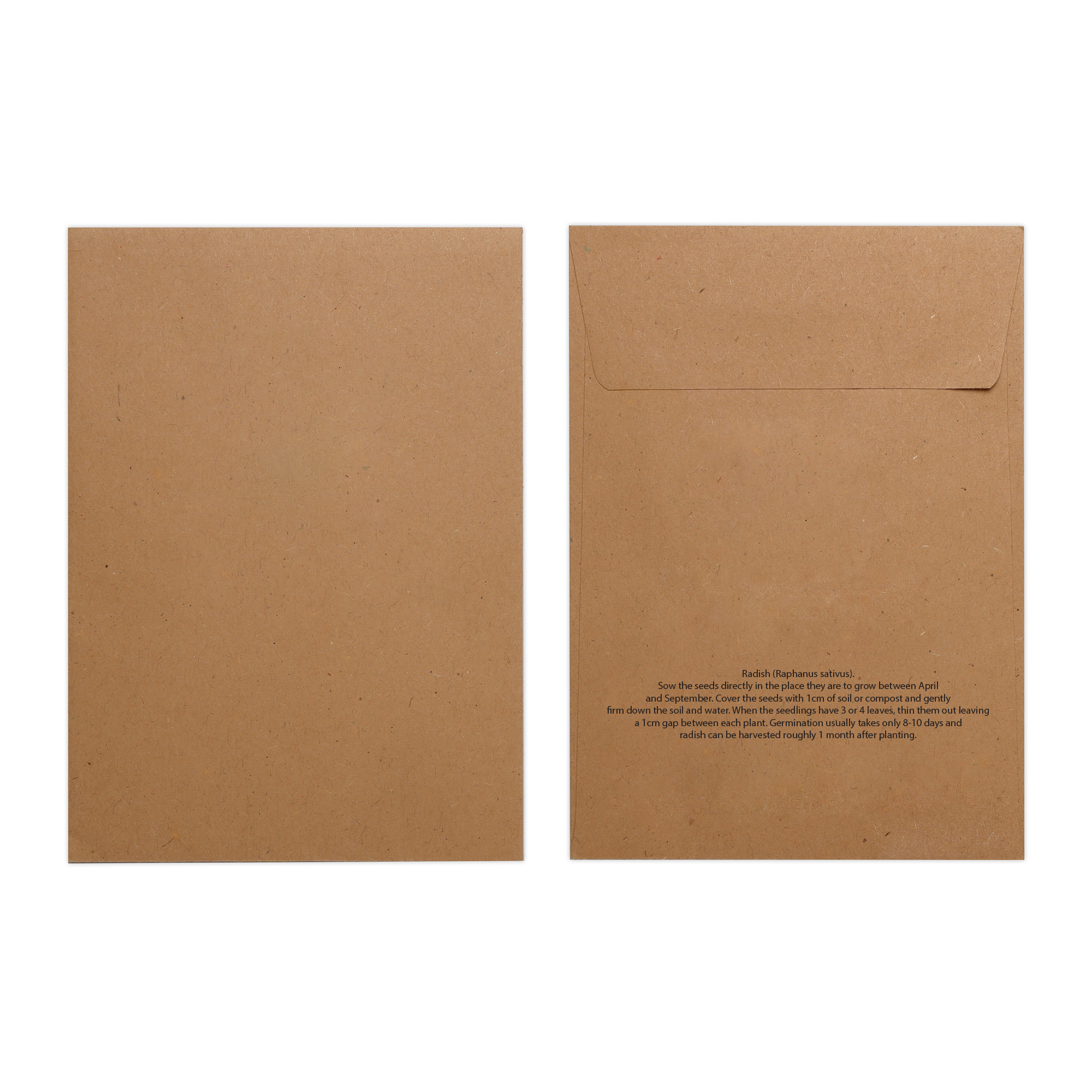 Picture of Natural Kraft Paper Seed Envelope