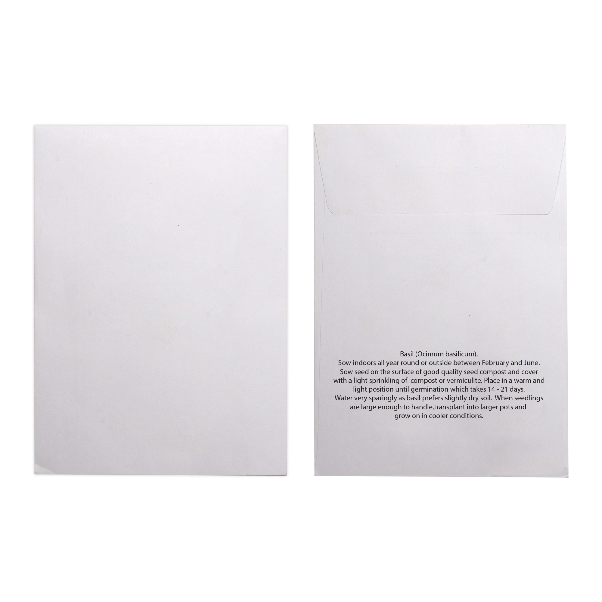 Picture of White Paper Seed Envelope