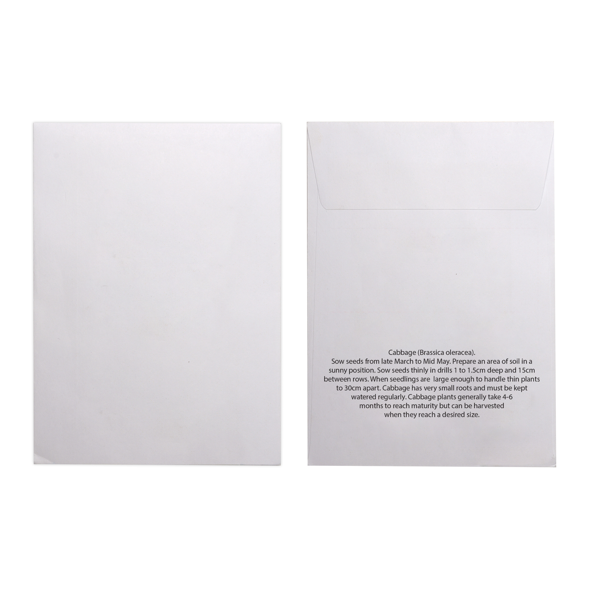 Picture of White Paper Seed Envelope