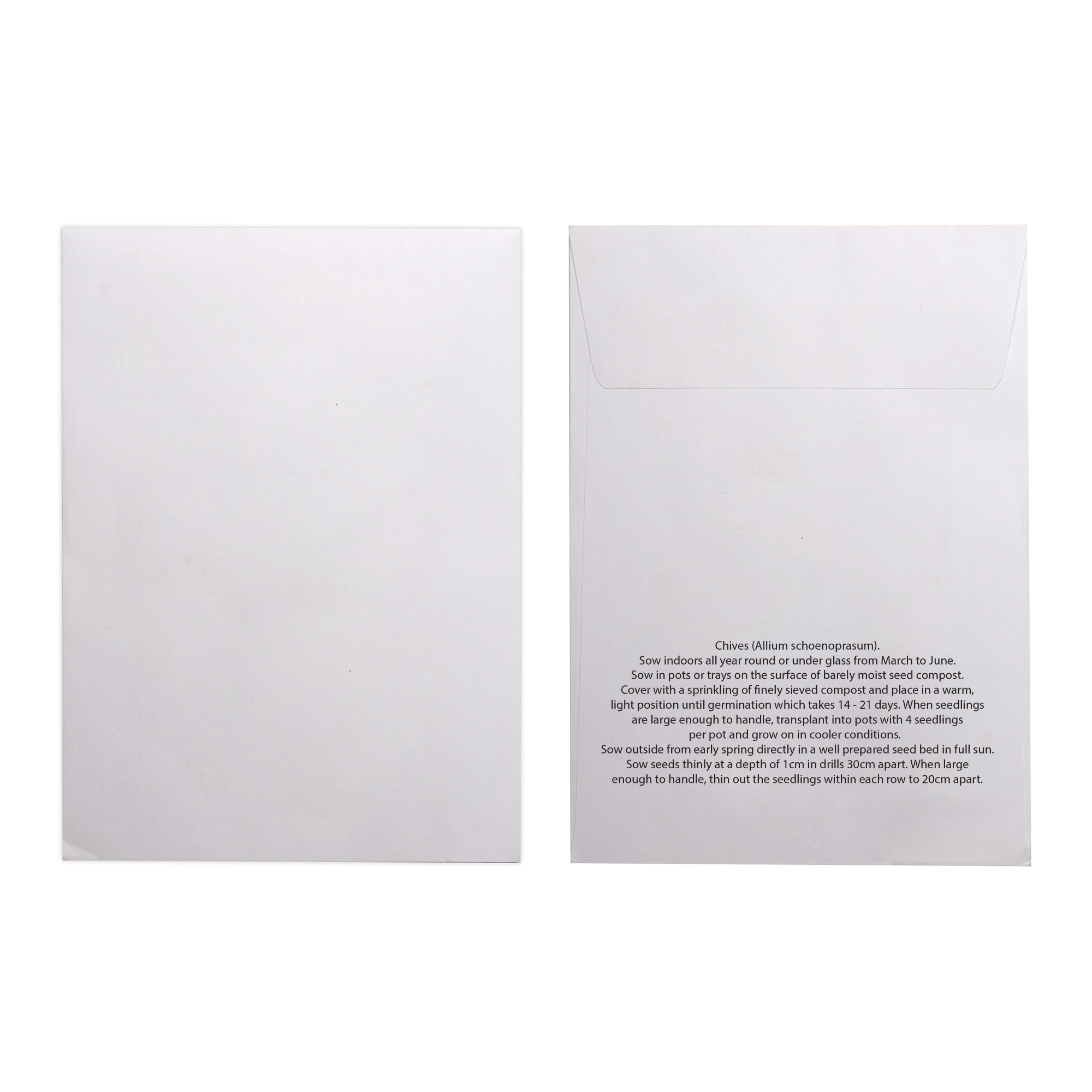 Picture of White Paper Seed Envelope