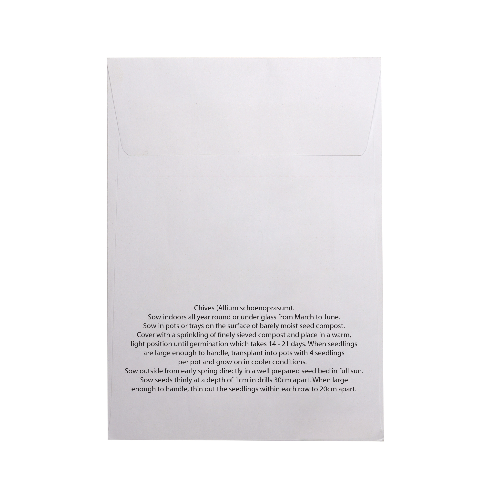 Picture of White Paper Seed Envelope