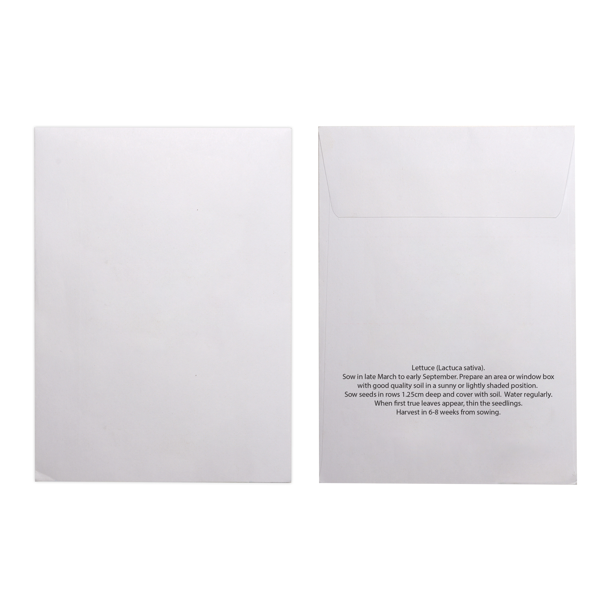 Picture of White Paper Seed Envelope