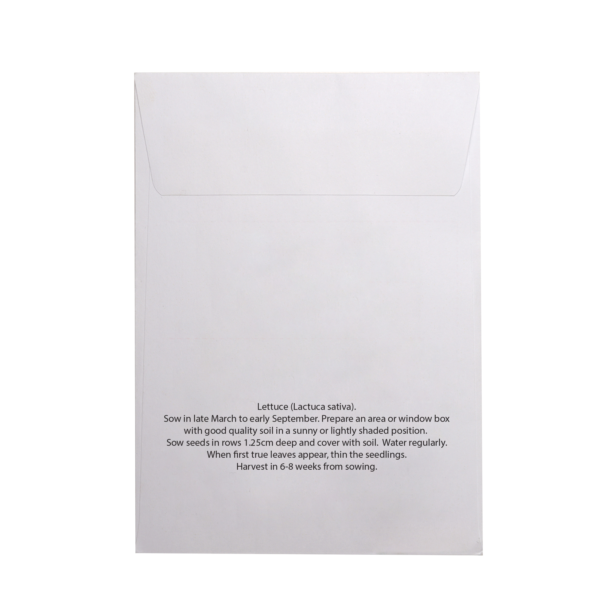 Picture of White Paper Seed Envelope