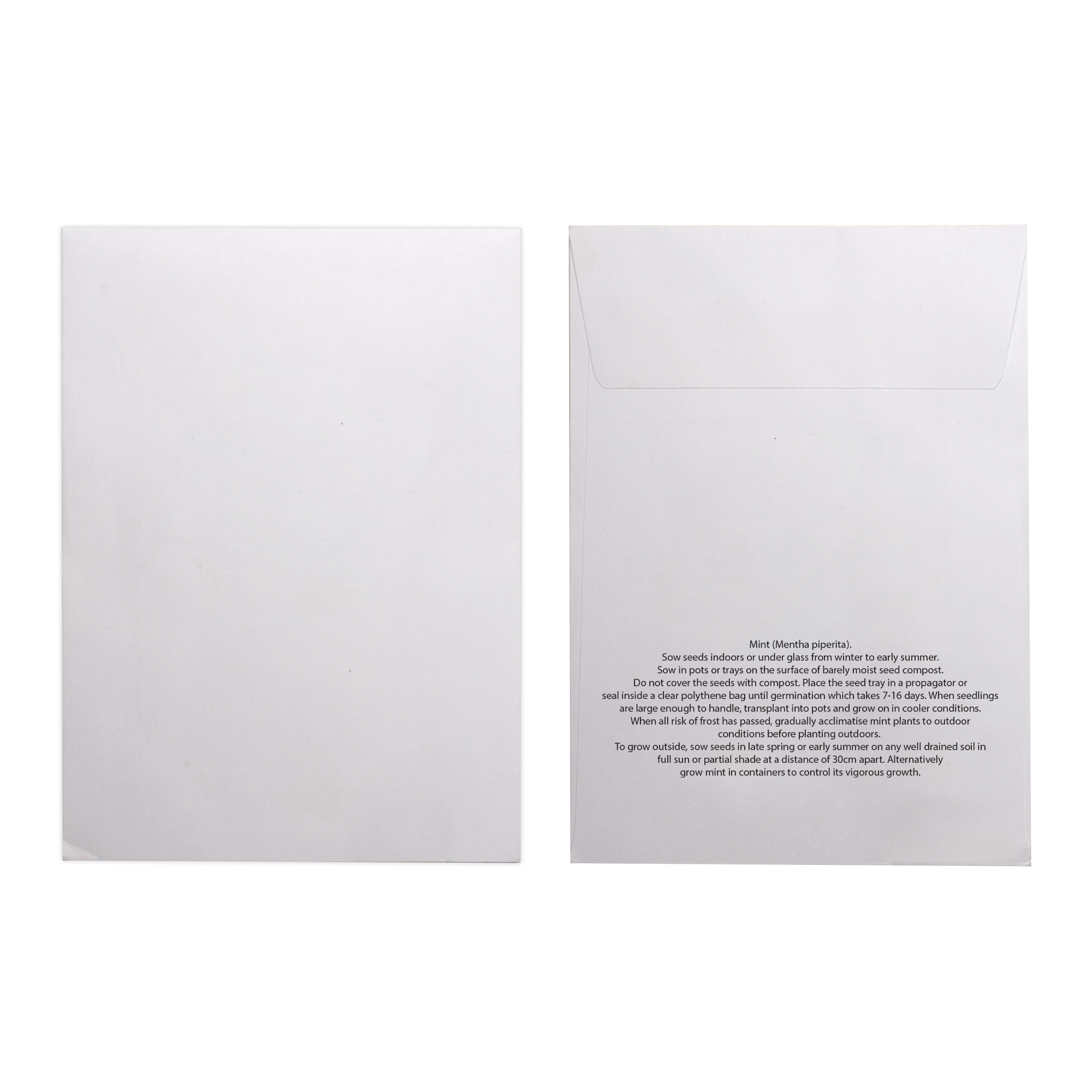 Picture of White Paper Seed Envelope
