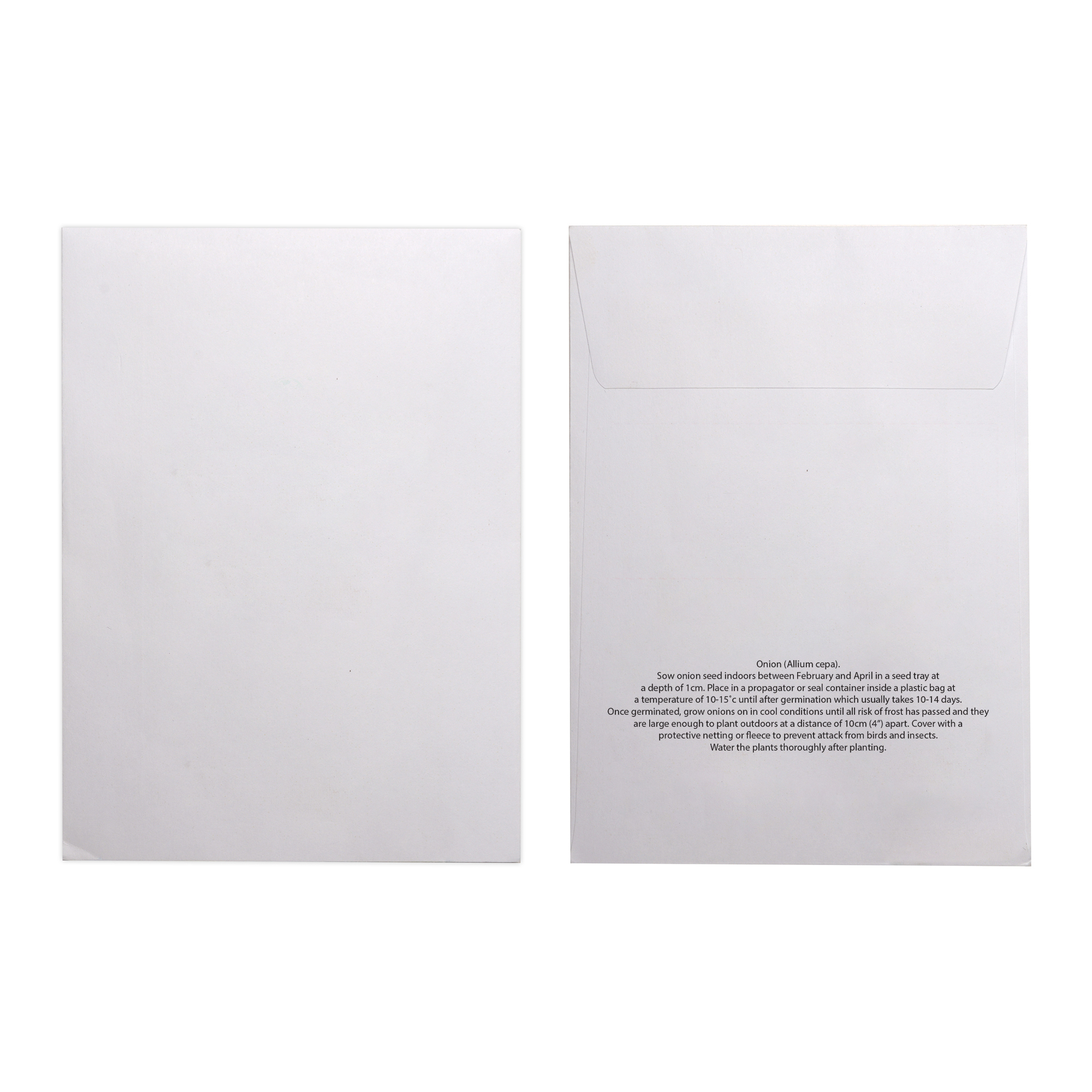 Picture of White Paper Seed Envelope