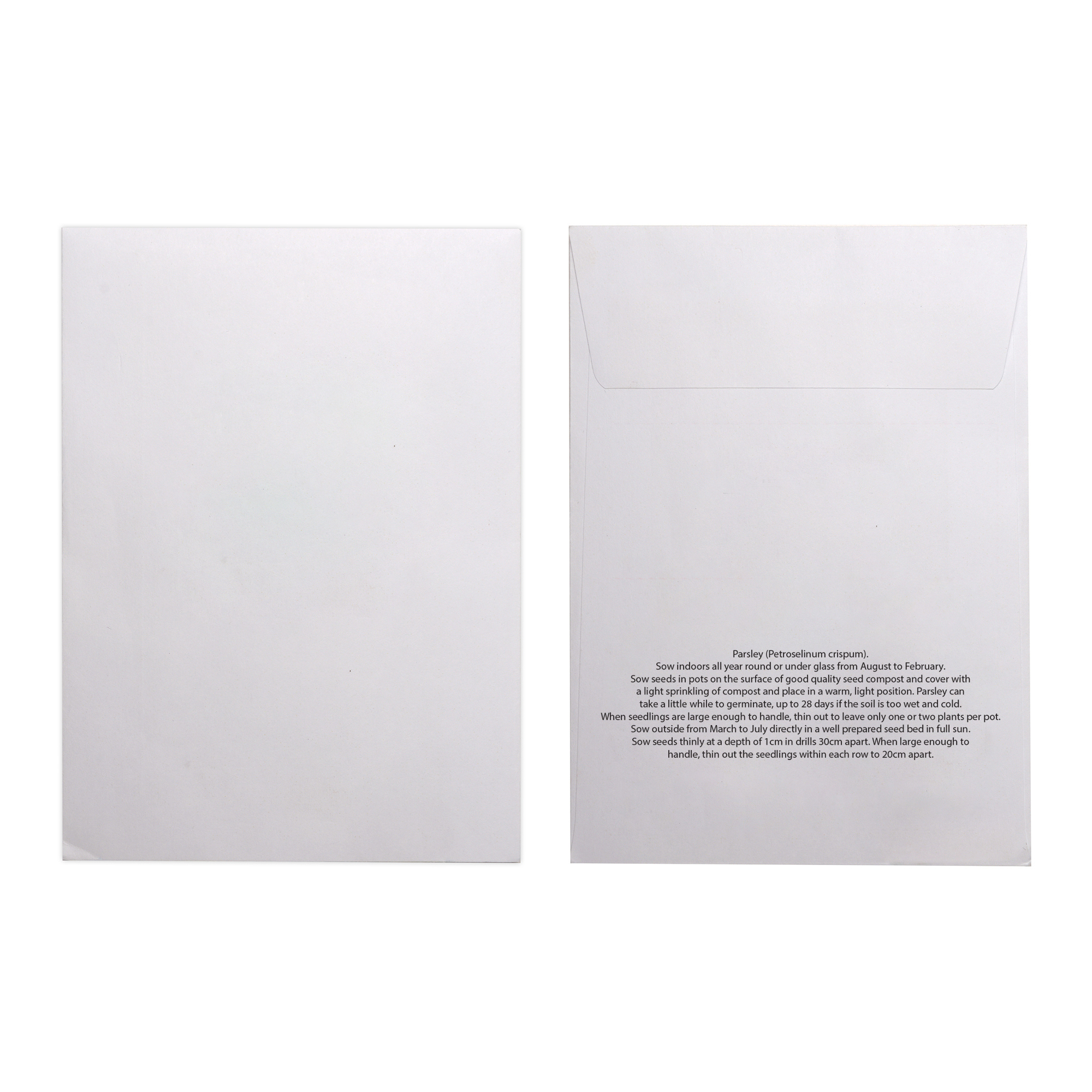Picture of White Paper Seed Envelope