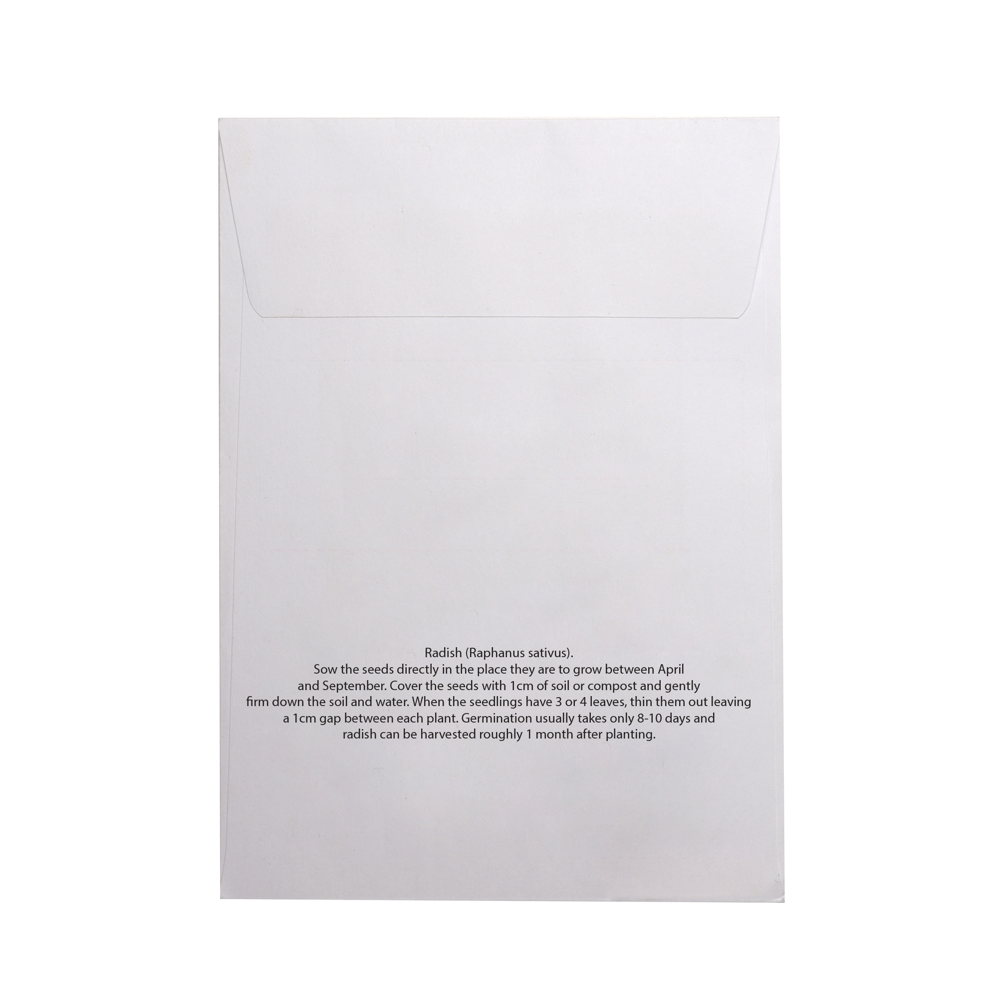 Picture of White Paper Seed Envelope