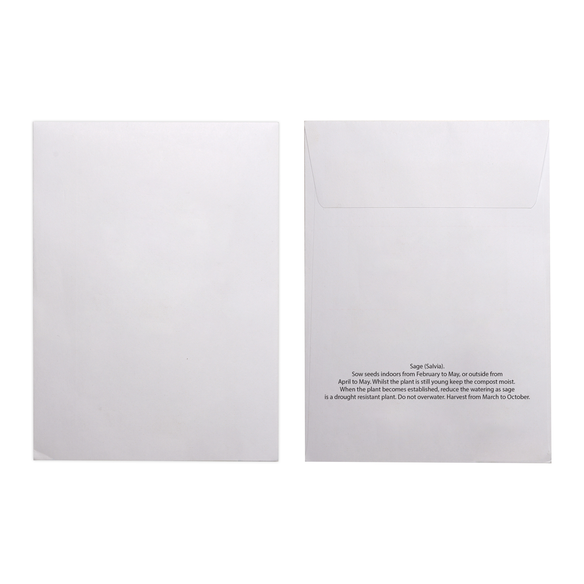 Picture of White Paper Seed Envelope