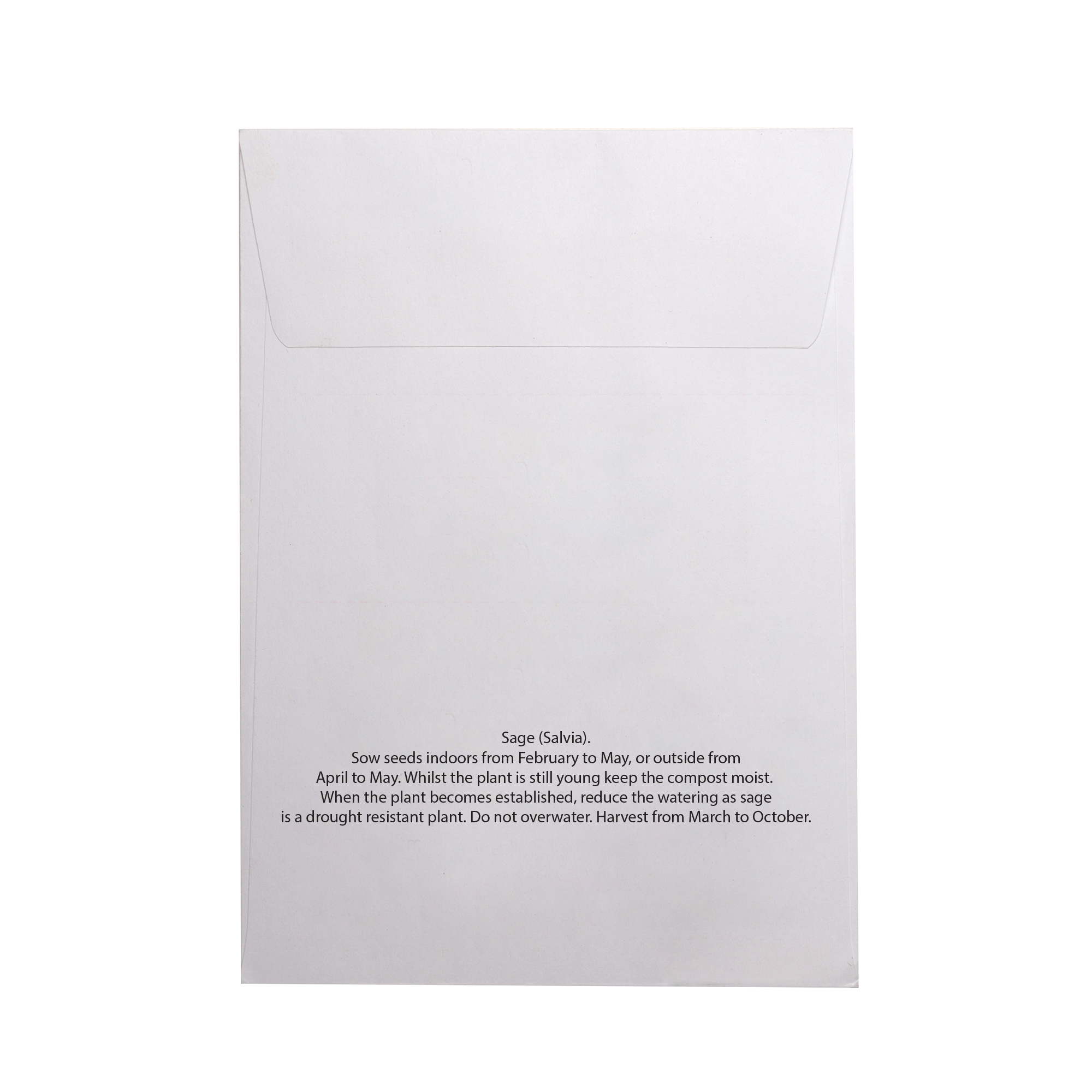 Picture of White Paper Seed Envelope