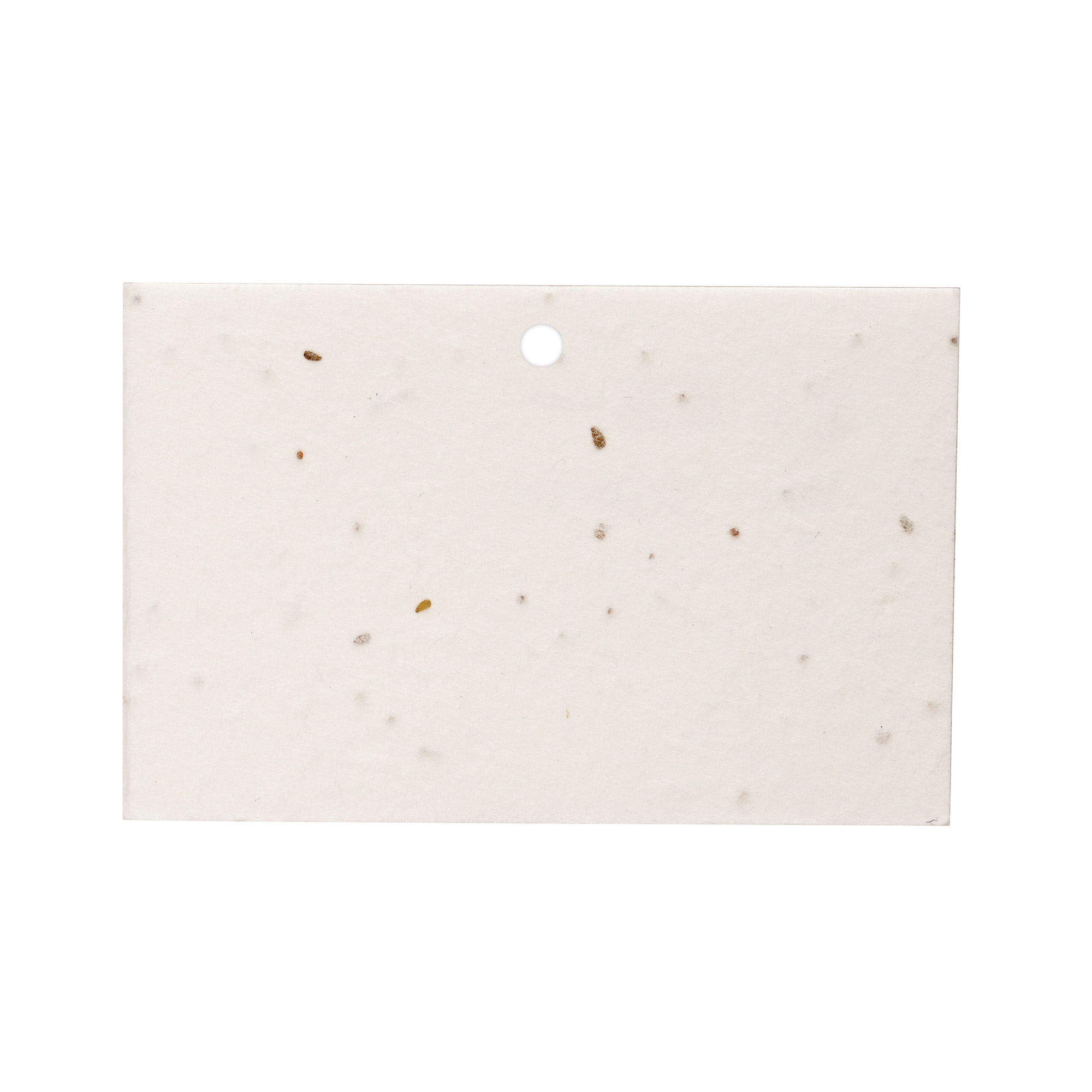 Seed Paper Lanyard Card