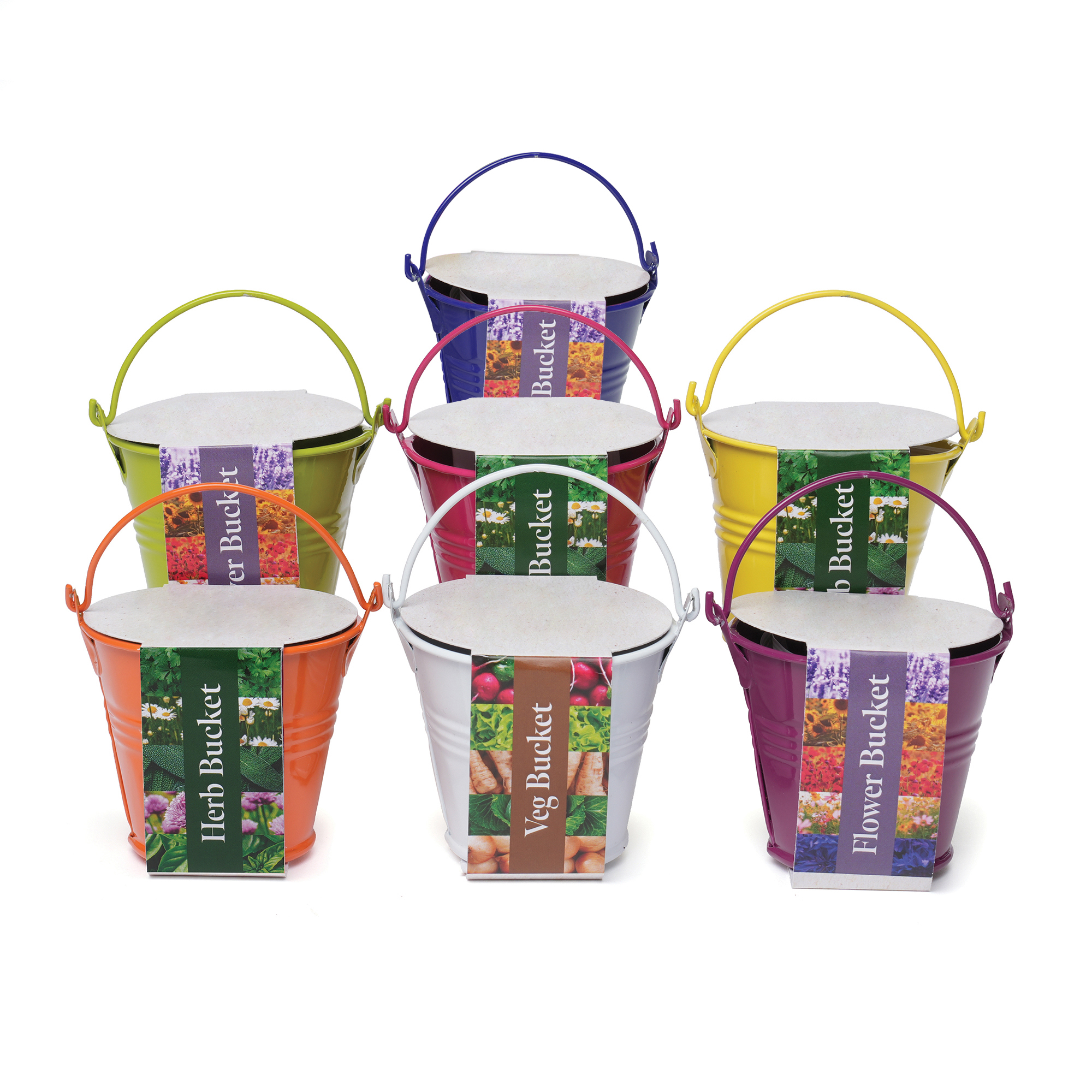 Picture of Coloured Mini Bucket Grow Kit