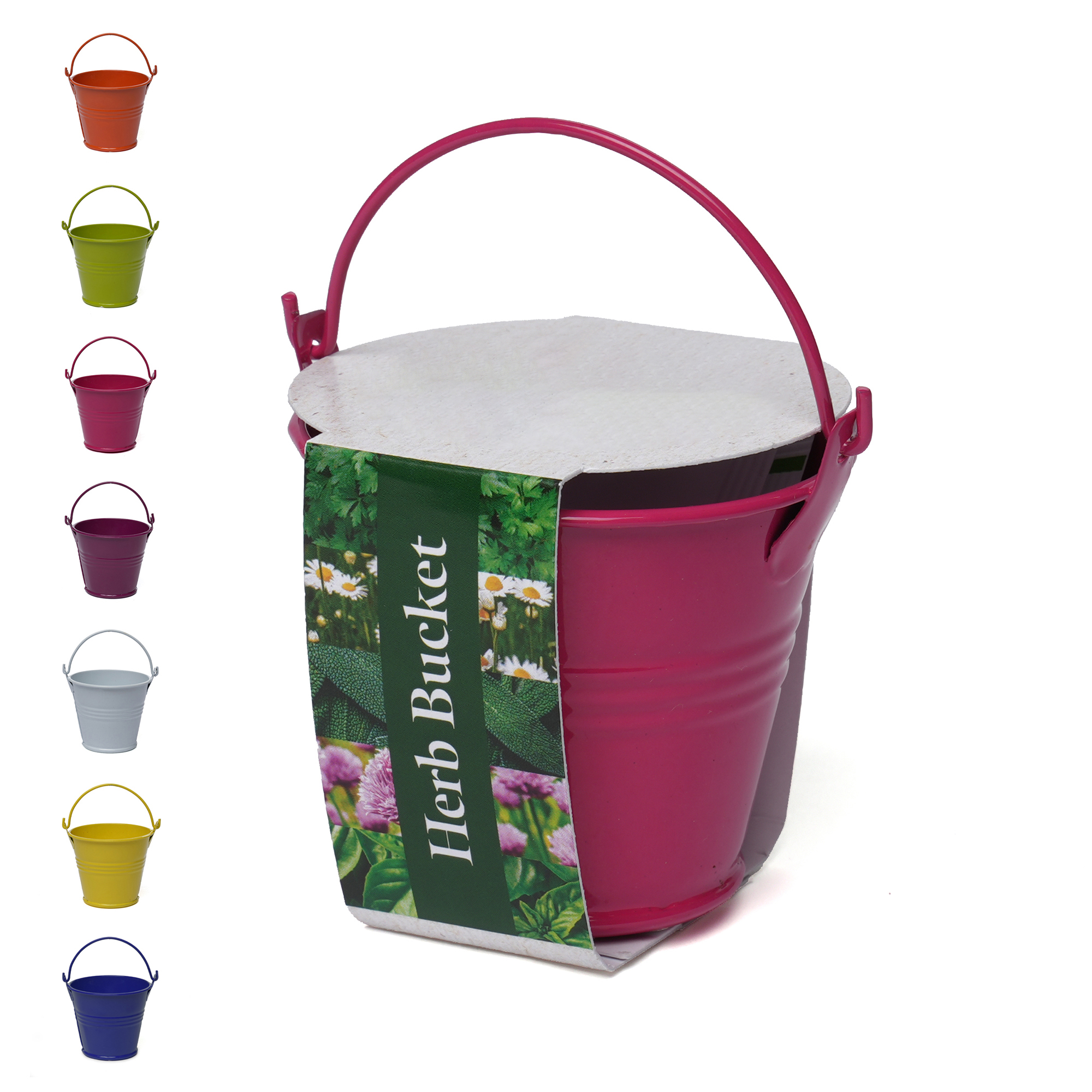 Picture of Coloured Mini Bucket Grow Kit
