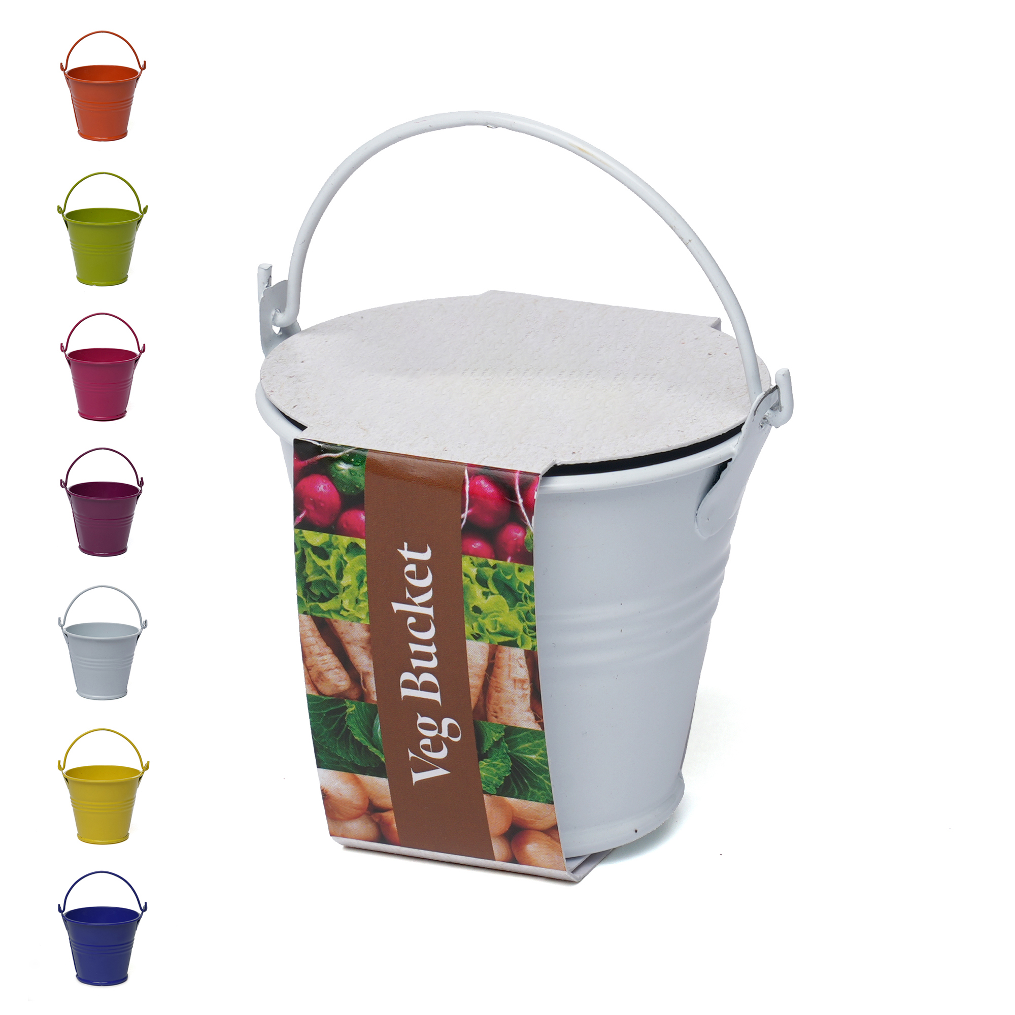 Picture of Coloured Mini Bucket Grow Kit