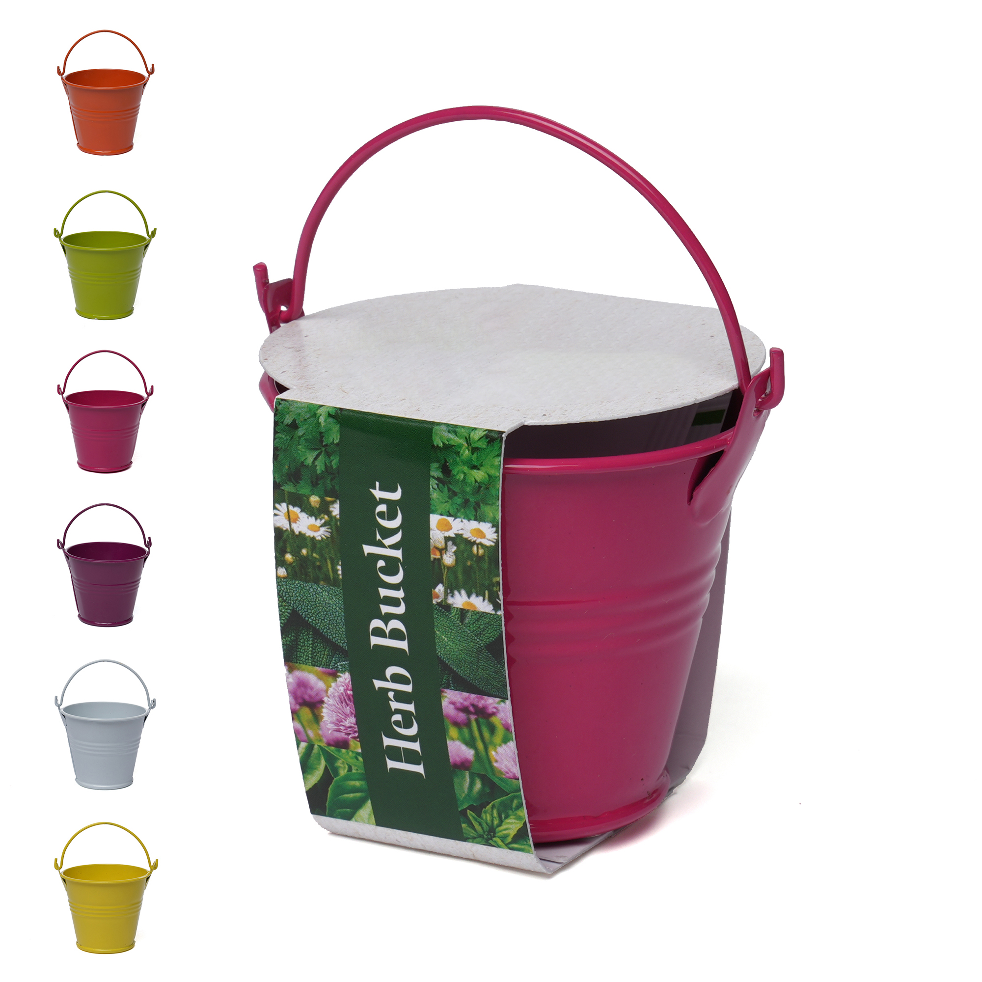 Picture of Coloured Mini Bucket Grow Kit