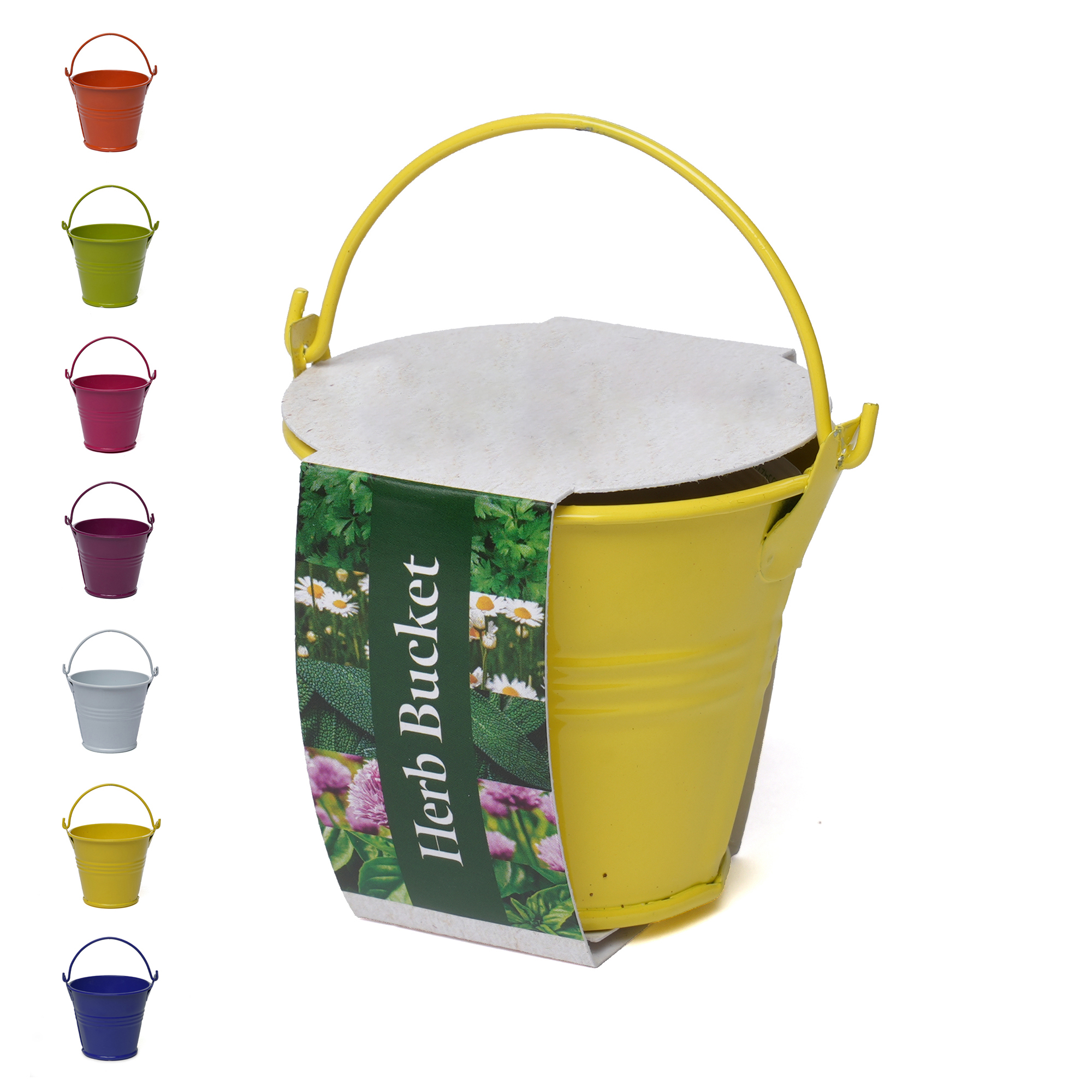 Picture of Coloured Mini Bucket Grow Kit