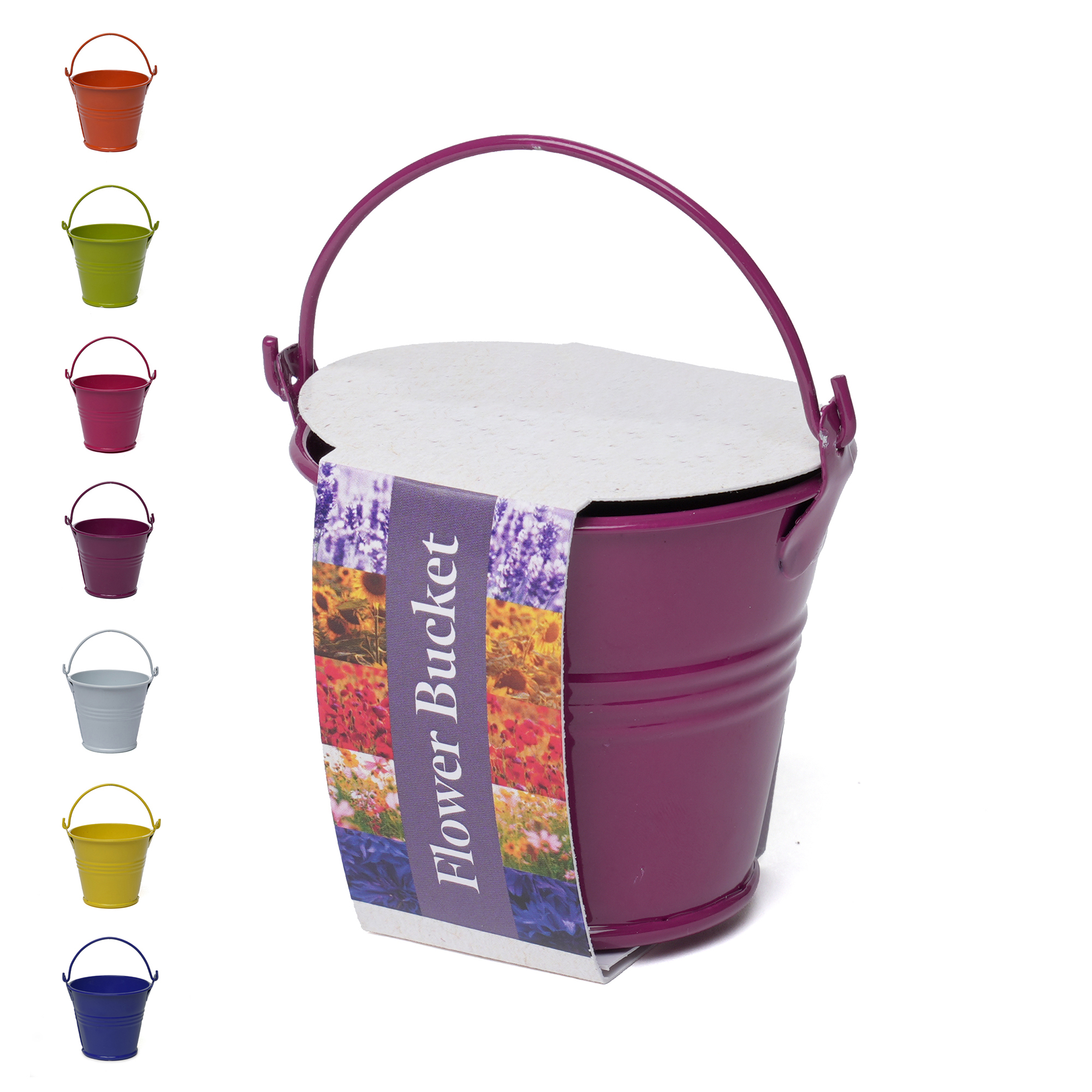 Picture of Coloured Mini Bucket Grow Kit