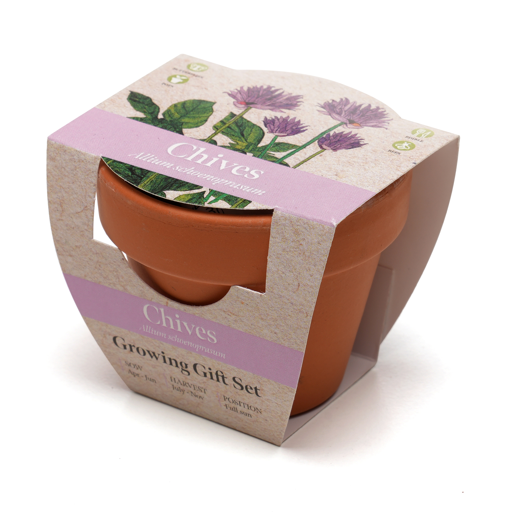 Picture of Standard Growing Gift with Mini Terracotta Pot
