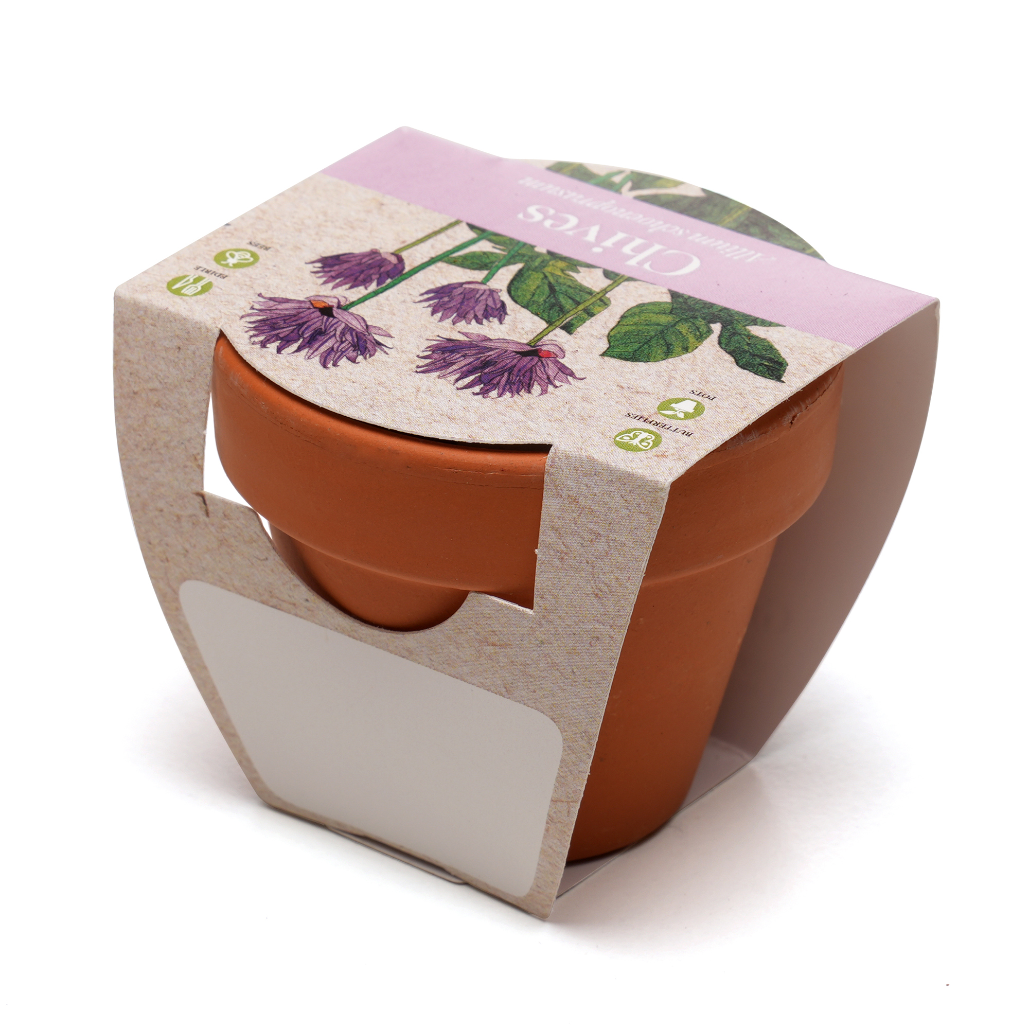 Picture of Standard Growing Gift with Mini Terracotta Pot