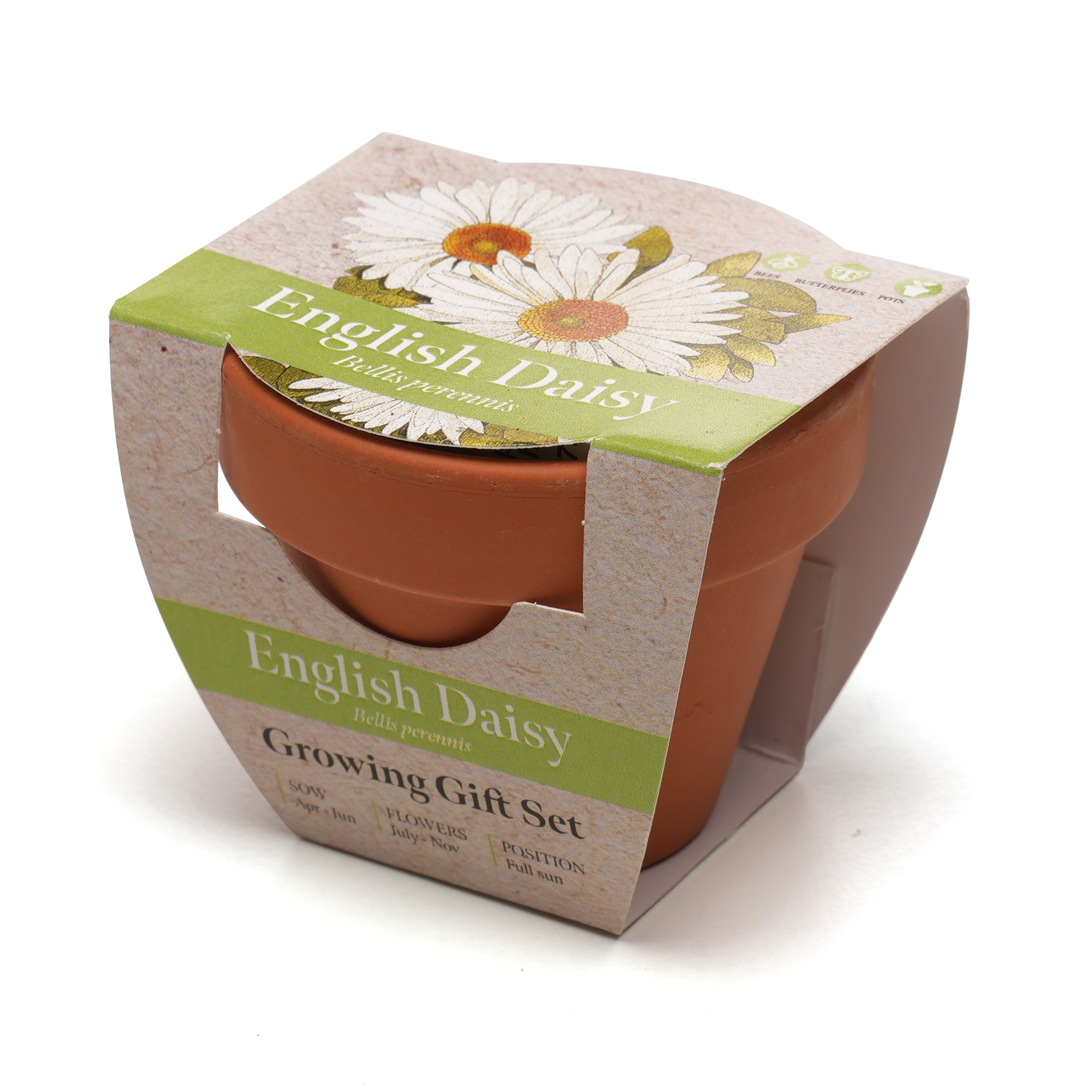 Picture of Standard Growing Gift with Mini Terracotta Pot