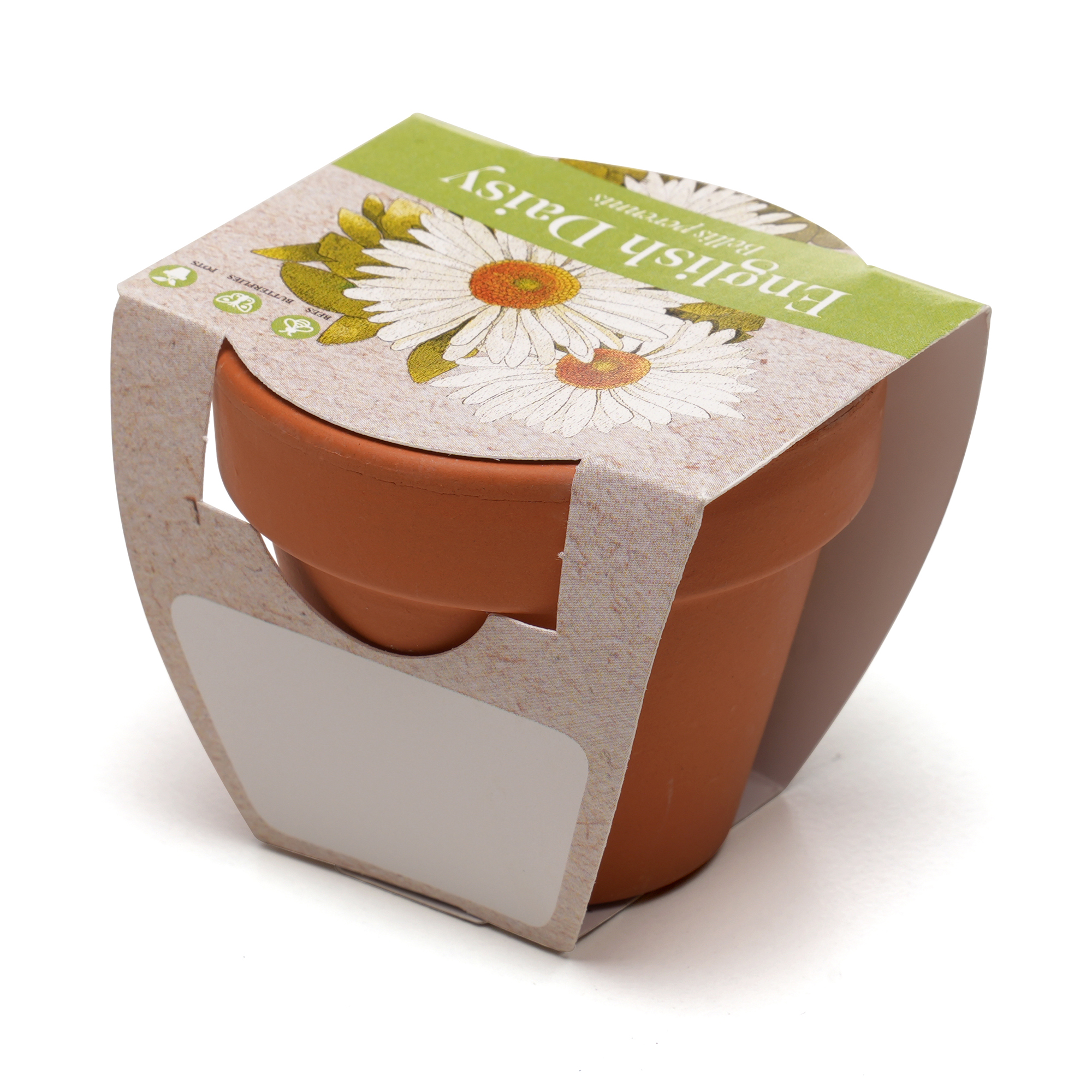 Picture of Standard Growing Gift with Mini Terracotta Pot