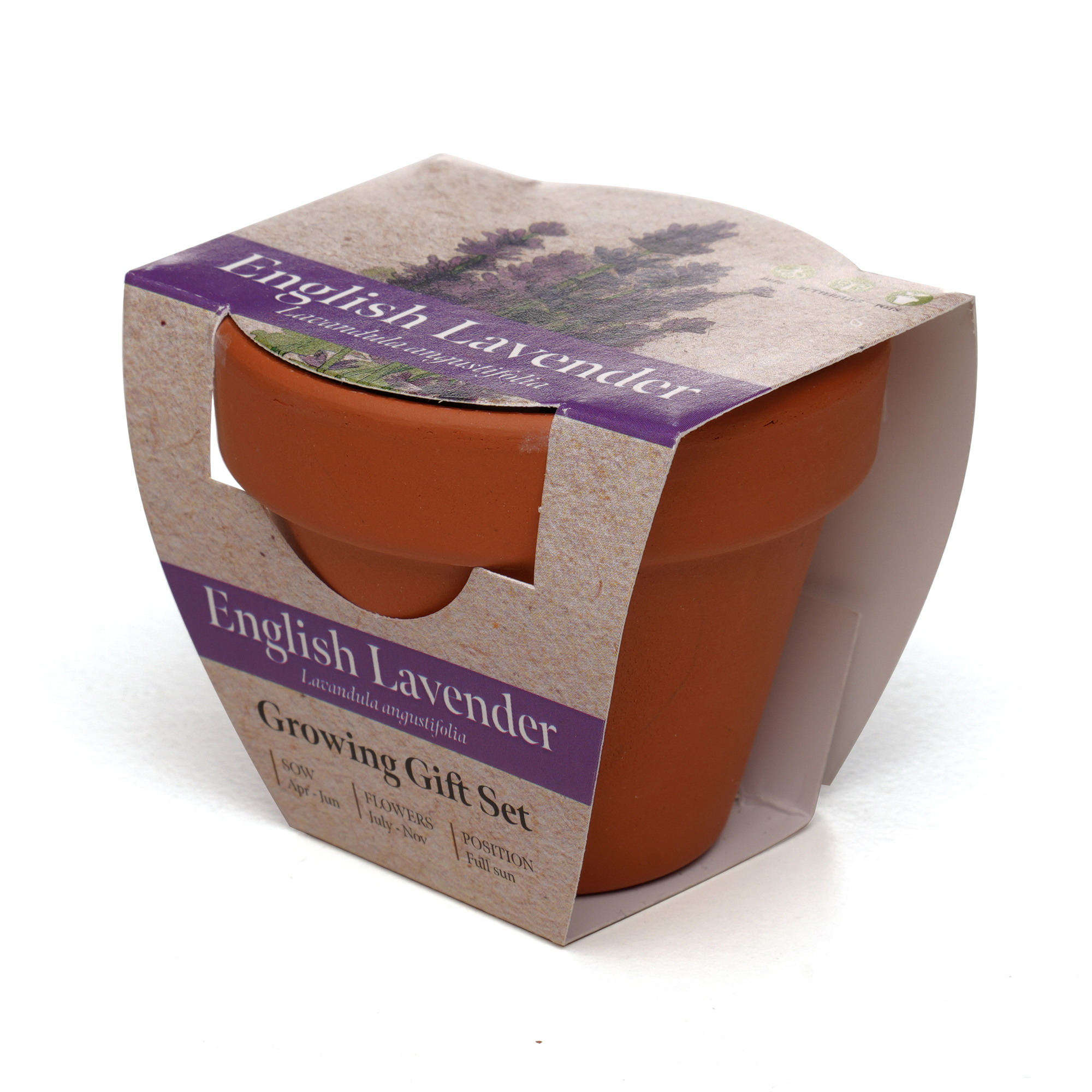 Picture of Standard Growing Gift with Mini Terracotta Pot