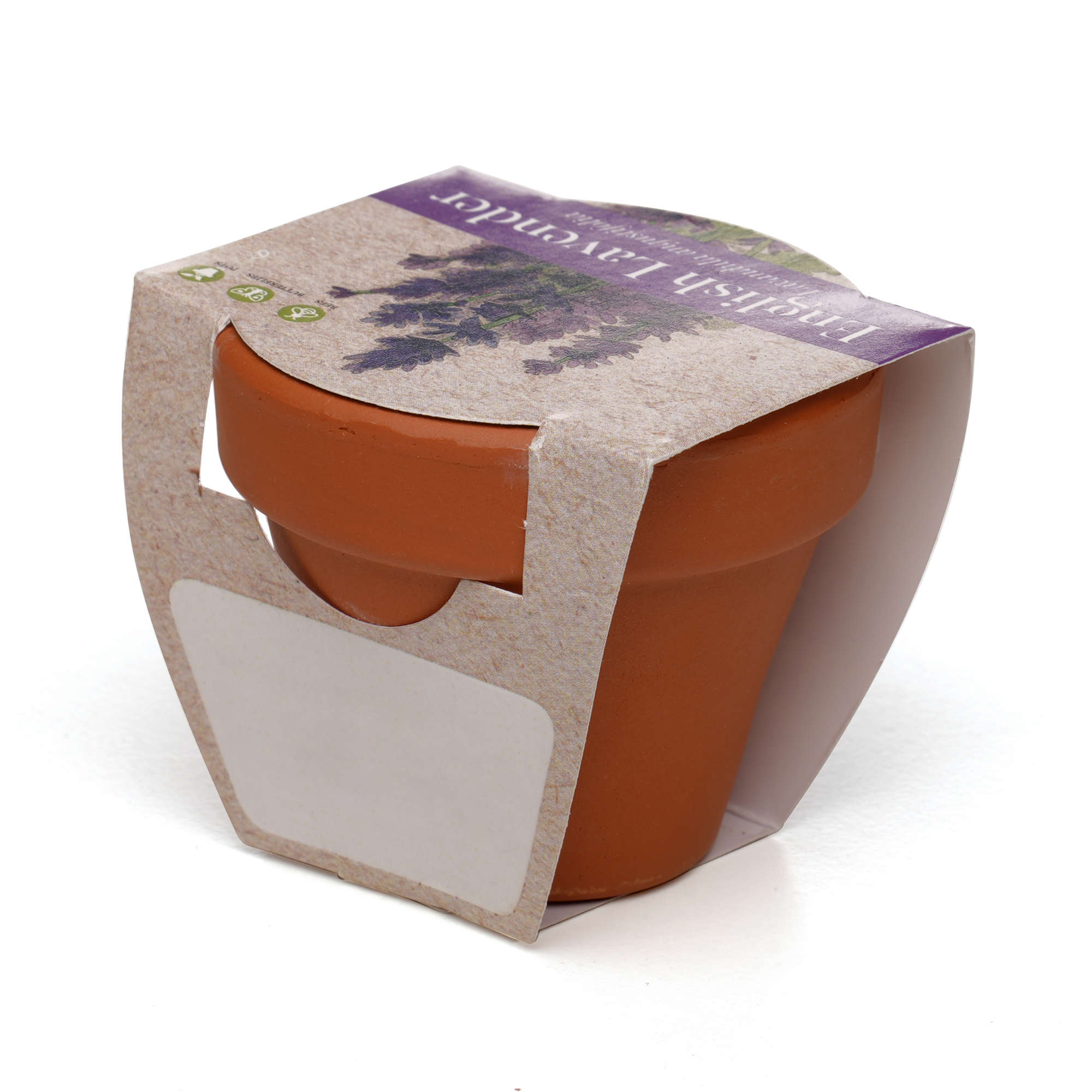 Picture of Standard Growing Gift with Mini Terracotta Pot