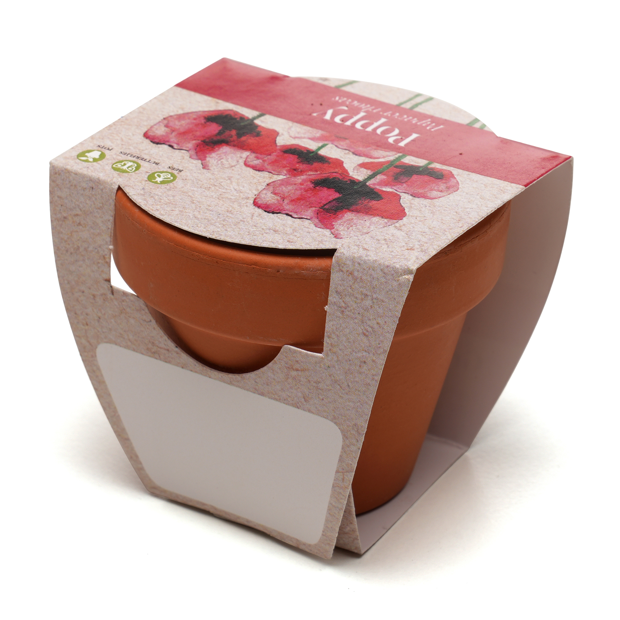 Picture of Standard Growing Gift with Mini Terracotta Pot