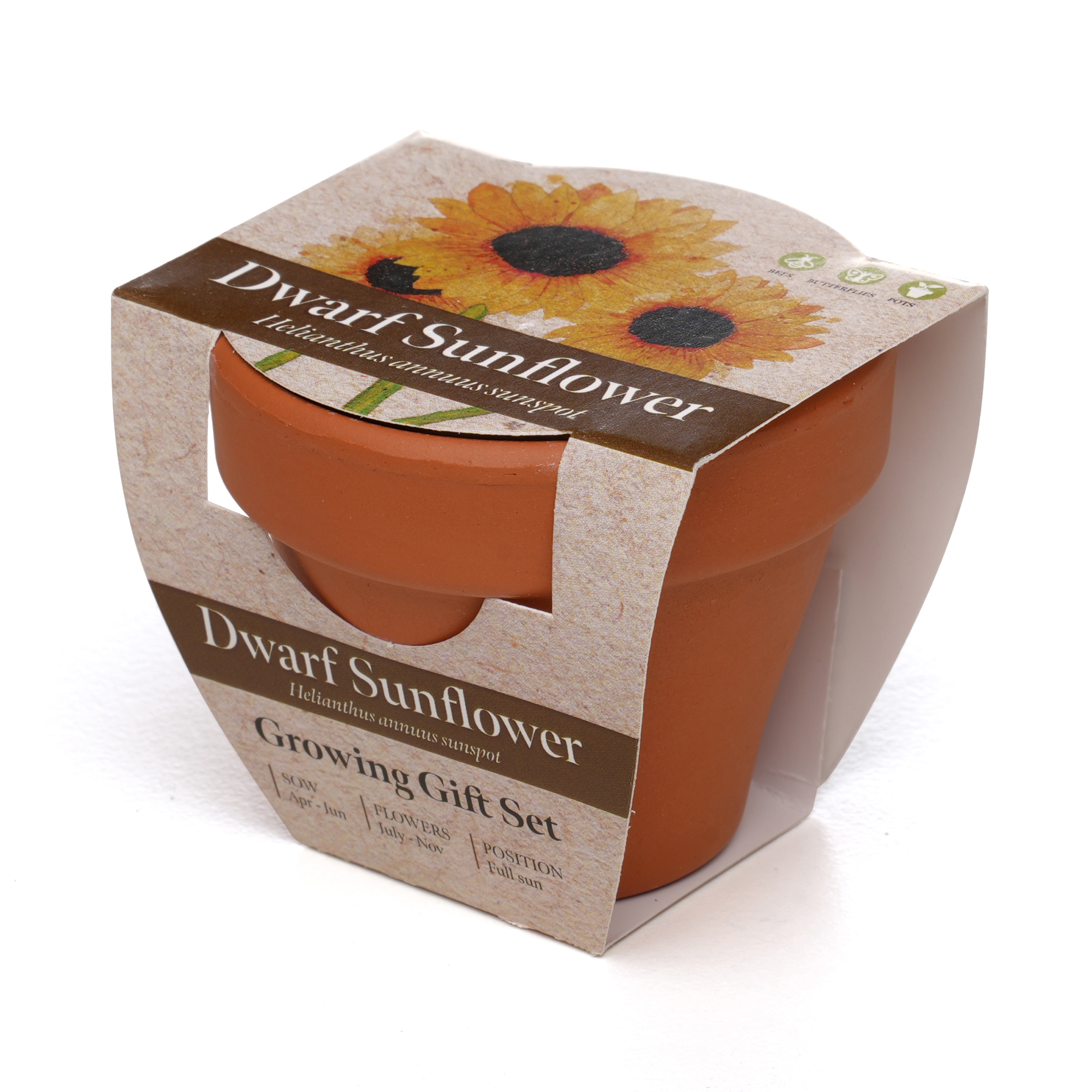 Picture of Standard Growing Gift with Mini Terracotta Pot