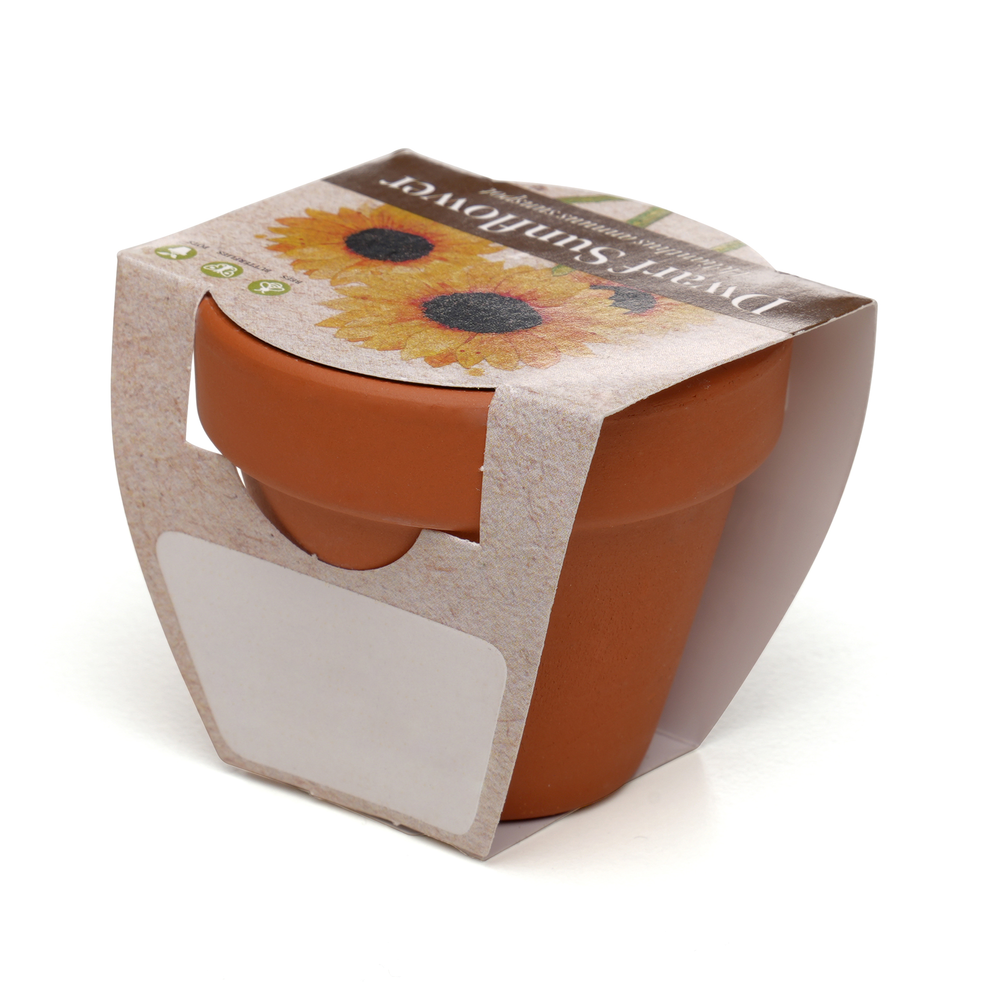 Picture of Standard Growing Gift with Mini Terracotta Pot