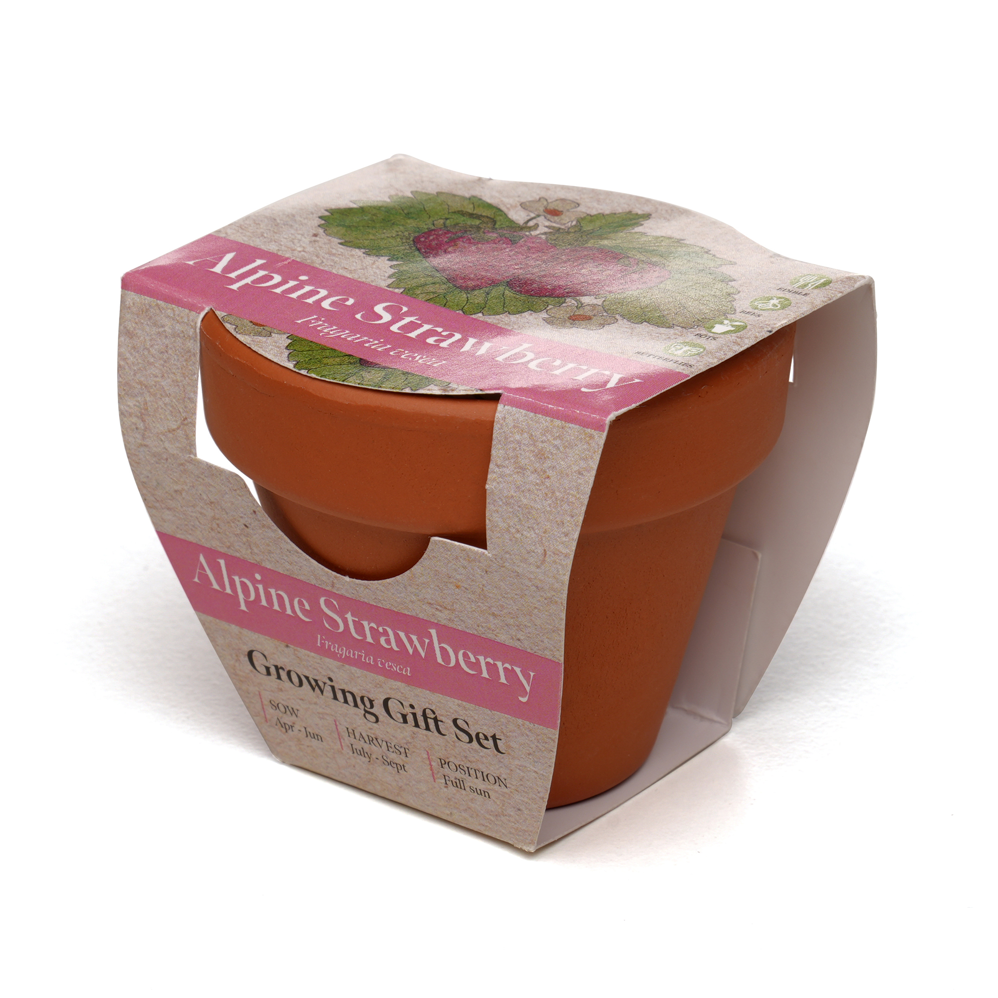 Picture of Standard Growing Gift with Mini Terracotta Pot