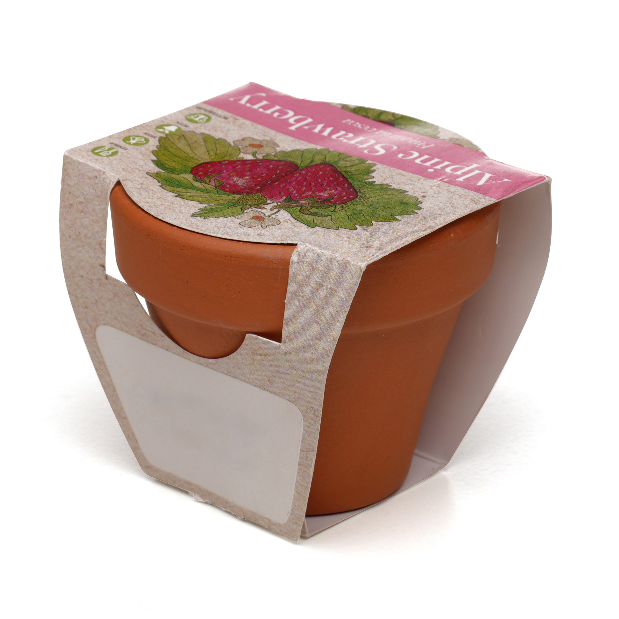 Picture of Standard Growing Gift with Mini Terracotta Pot